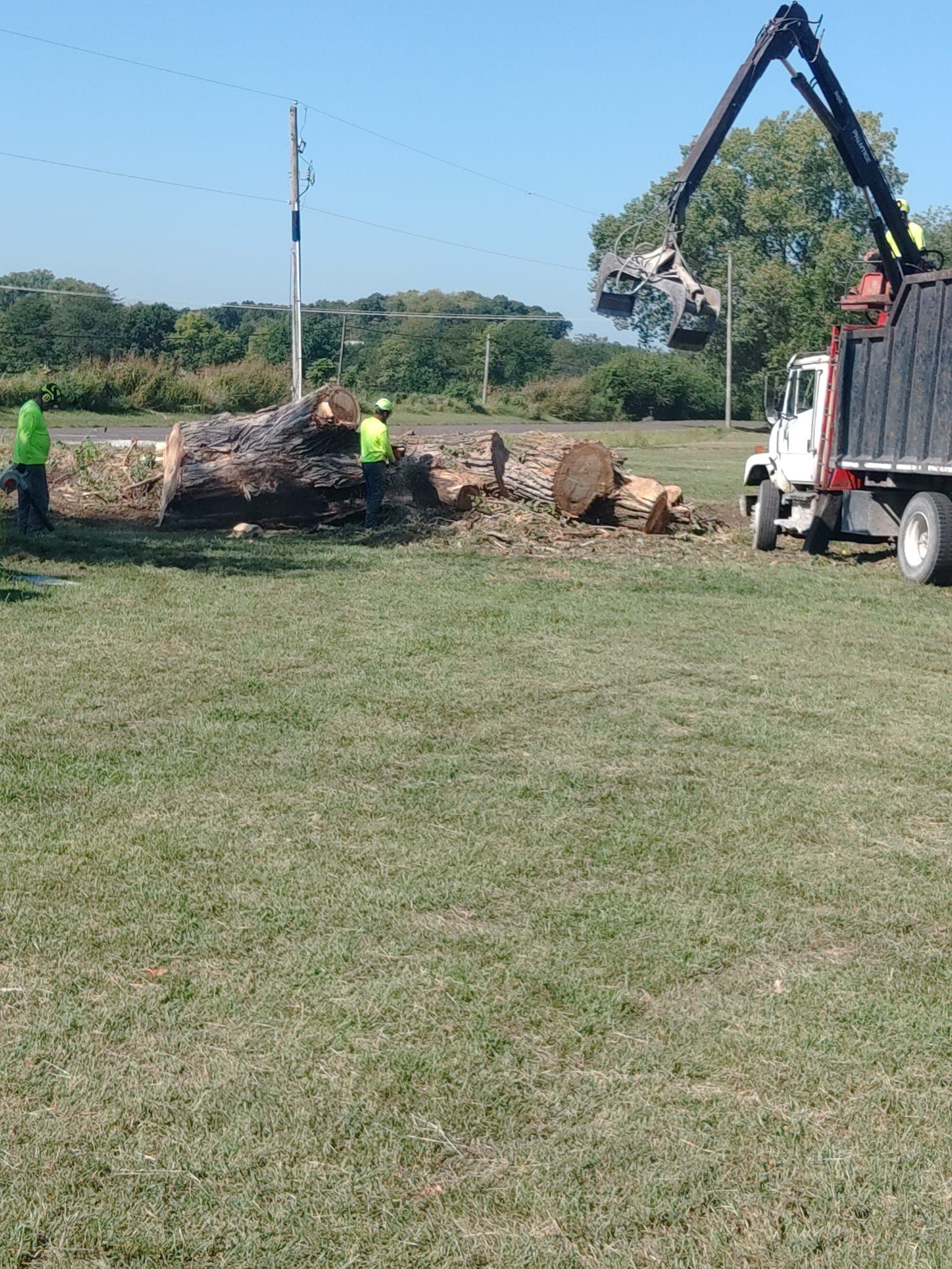  for Mitchell Tree Company in Lathrop, MO