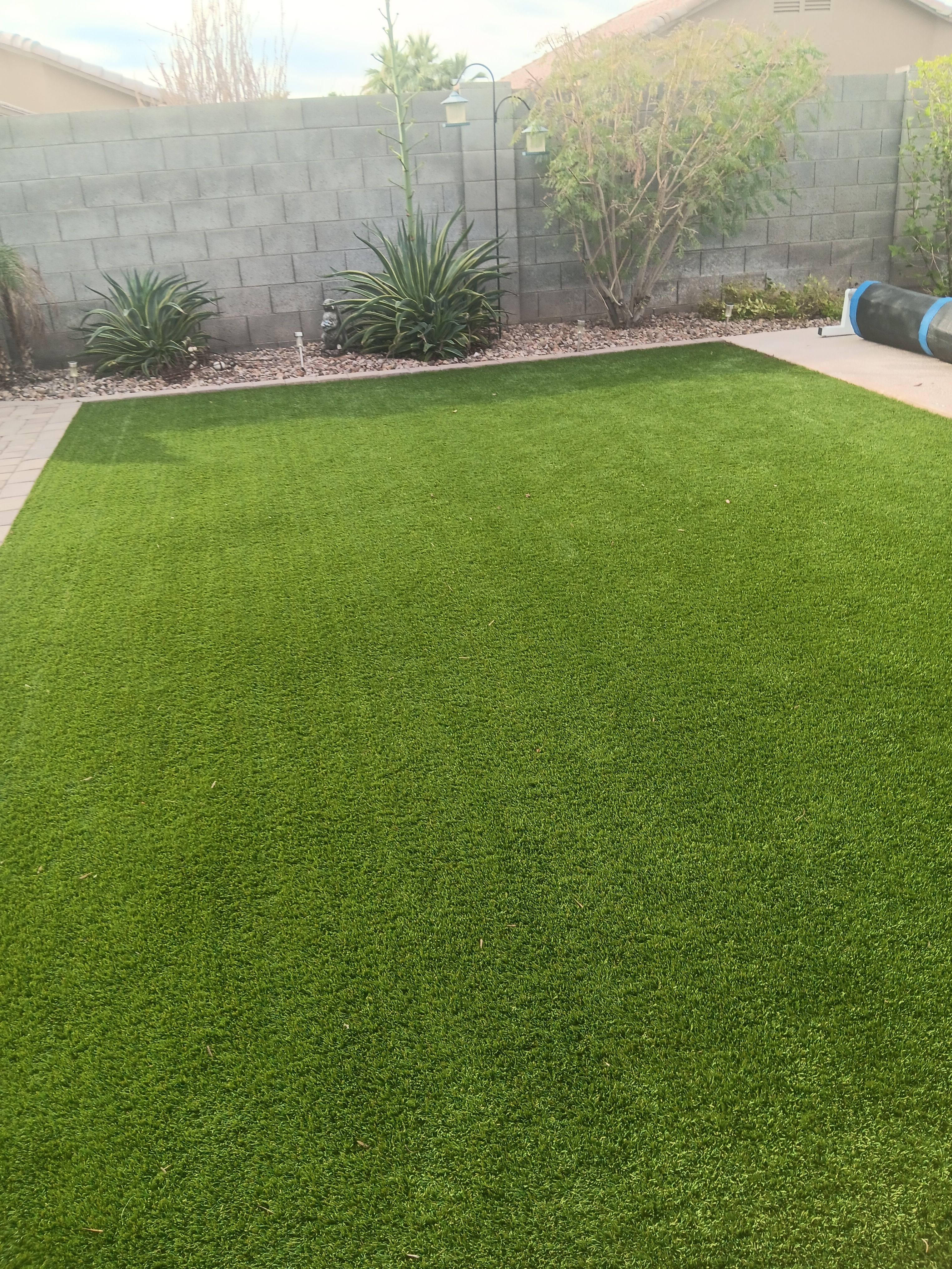  for Family Landscaping in Phoenix, AZ