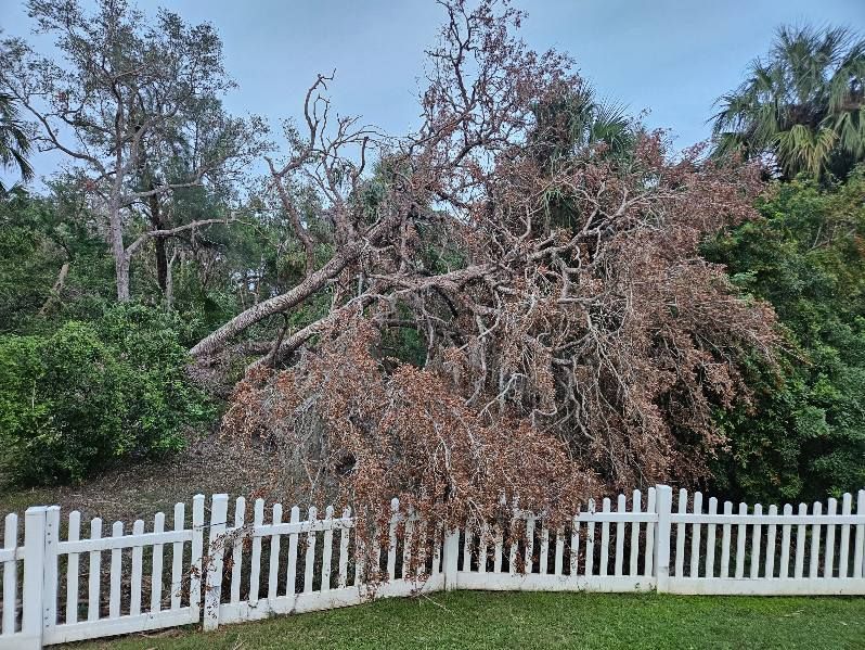  for Bay Area Bobcat in Riverview, FL