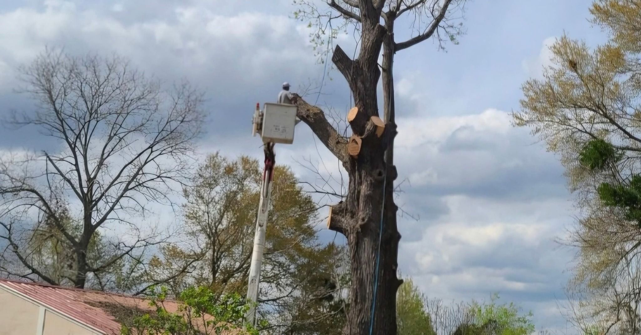  for Breaktime Tree Trimming & Removal in Oakdale, LA