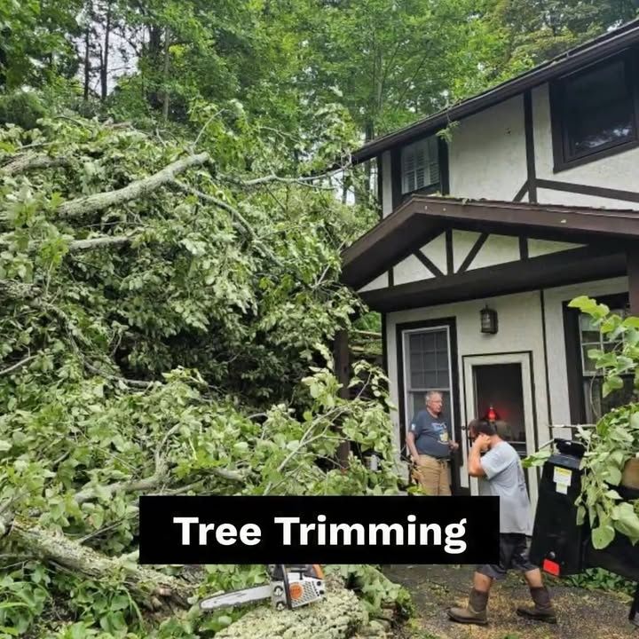  for AAA Tree Cutting in Shavertown, PA