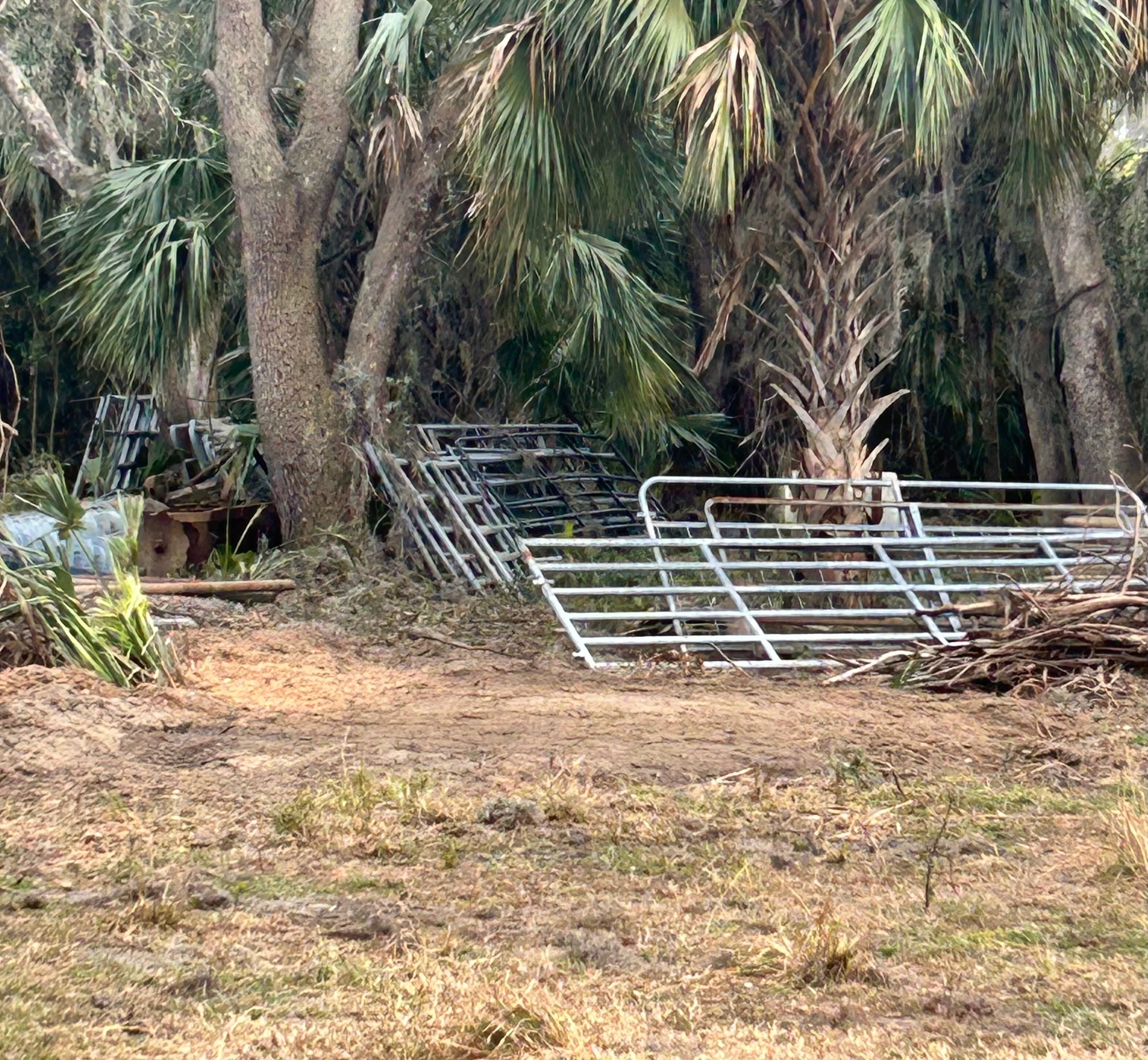  for Greene Acres Stump Grinding in Plant City, FL