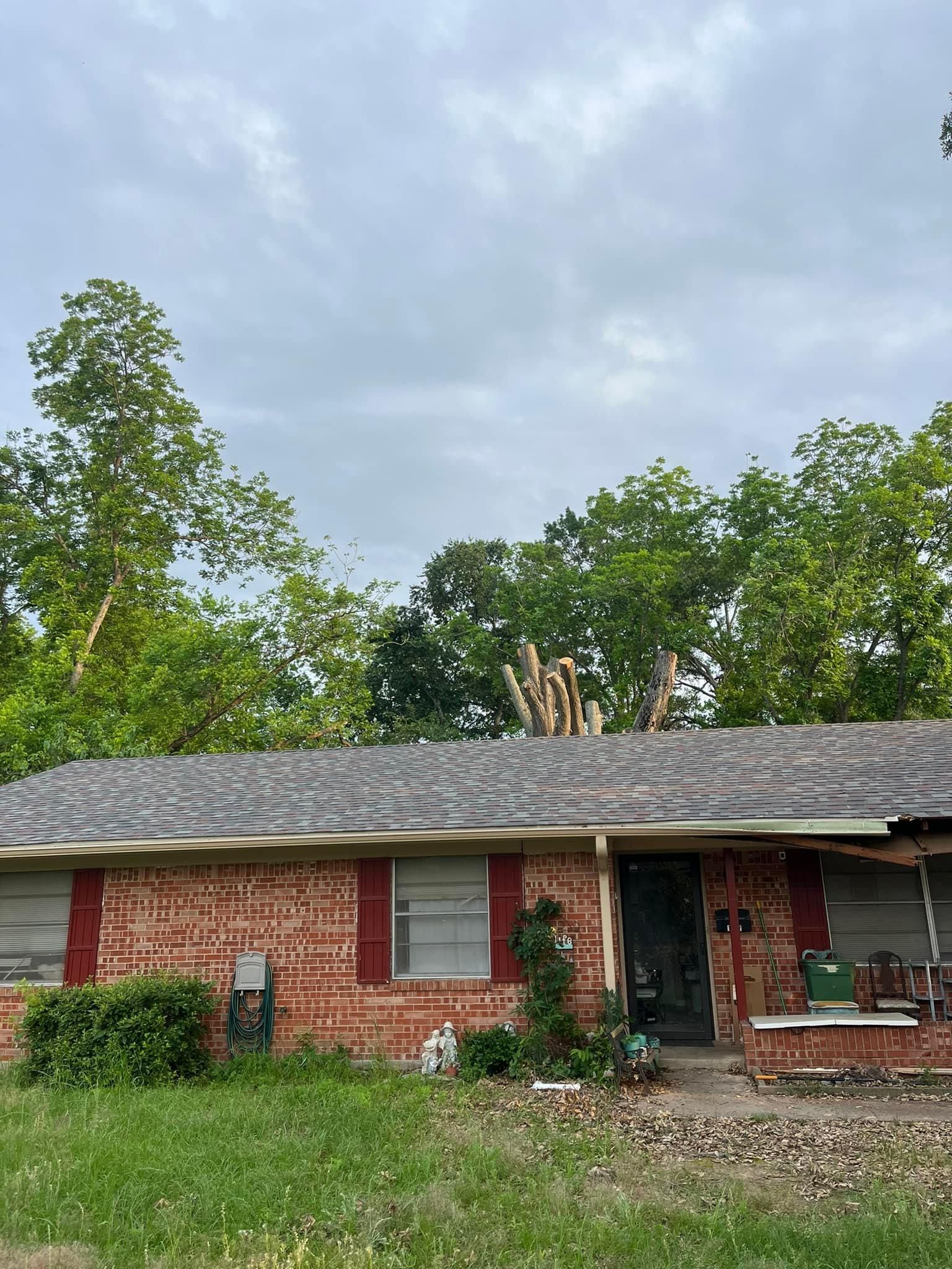  for Banda’s Tree Service And Lawn Care in Tyler, TX