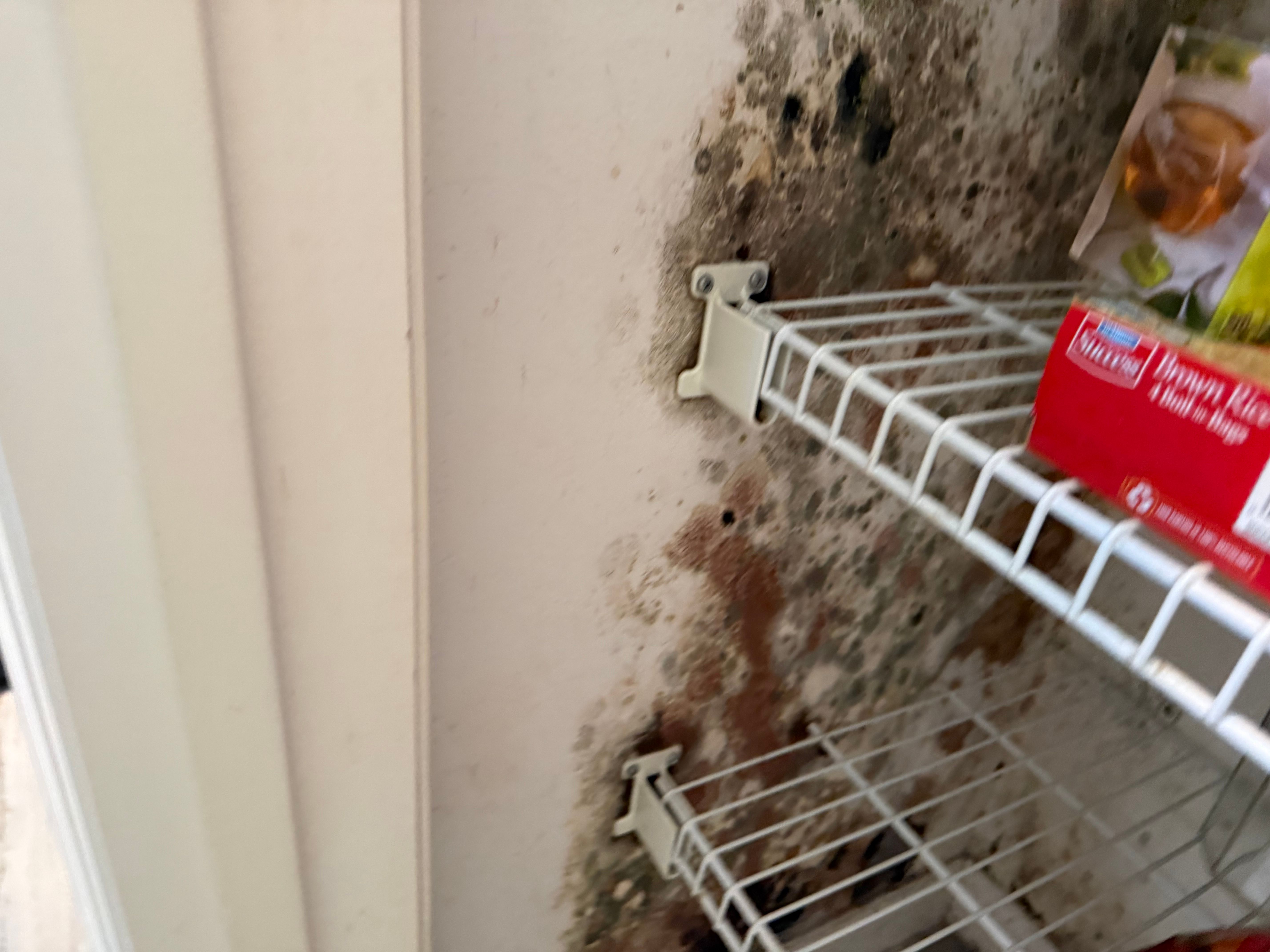  for Titan Remediation Industries in West Palm Beach, FL