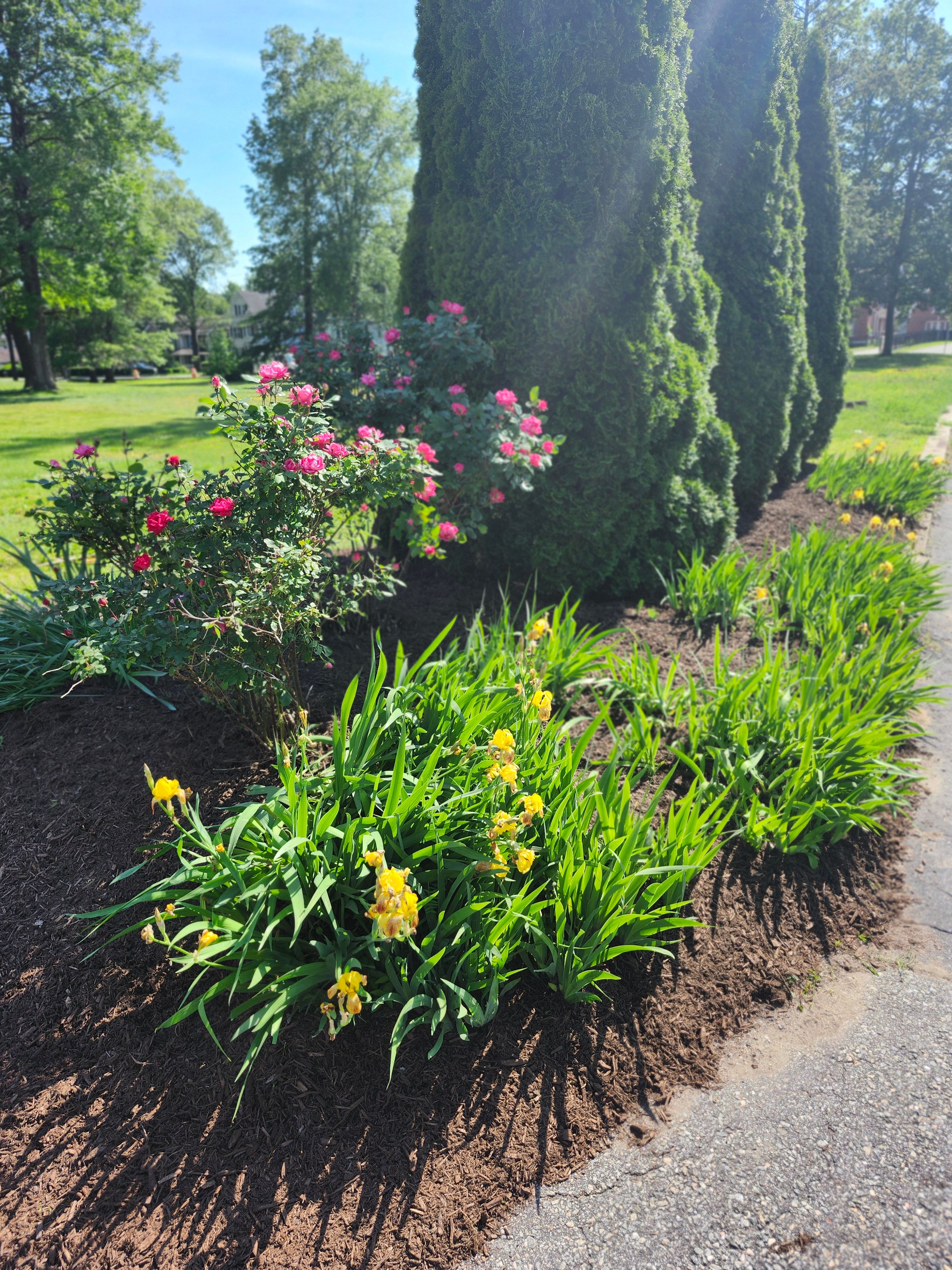 Muclhing & Weeding for Landscape Innovations LLC in Torrington, CT
