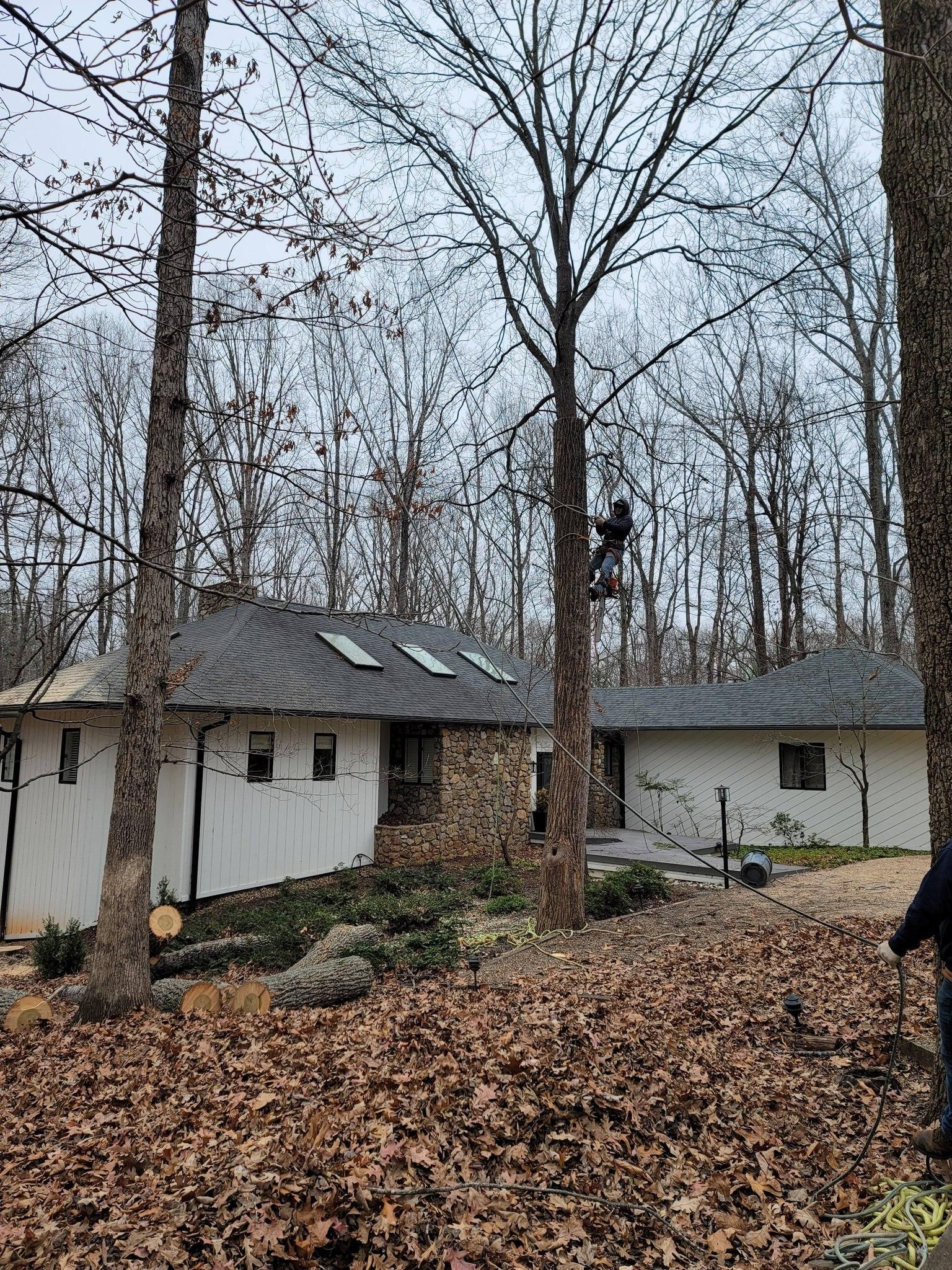  for Integrity Tree and Landscaping in Lynchburg, VA