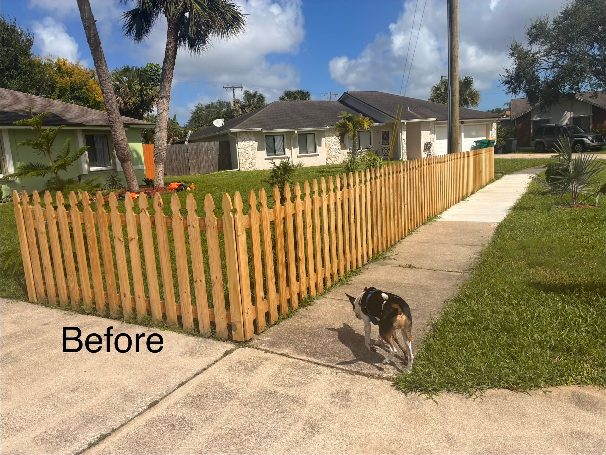 All Photos for Paps Painting in Brevard county, FL