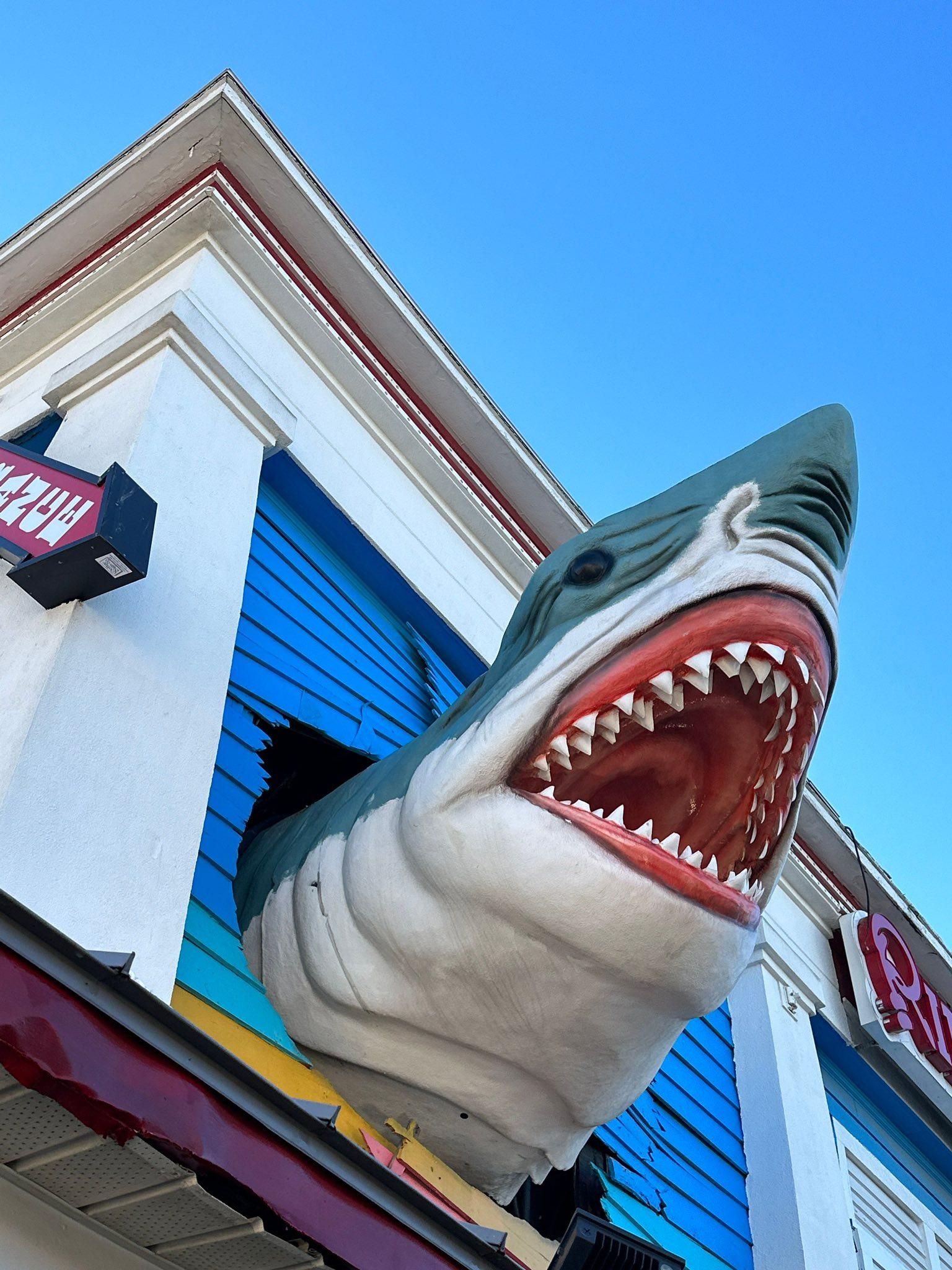 All Photos for Hydra-Lok Softwash LLC in Maryland, Catonsville