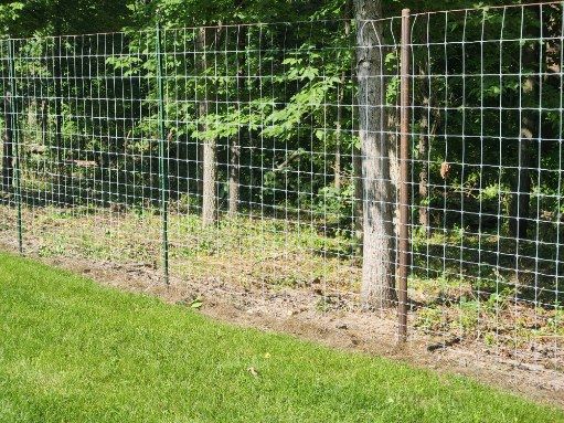  for Lawn Ranger Yard And Tree Service LLC in Ottumwa, IA