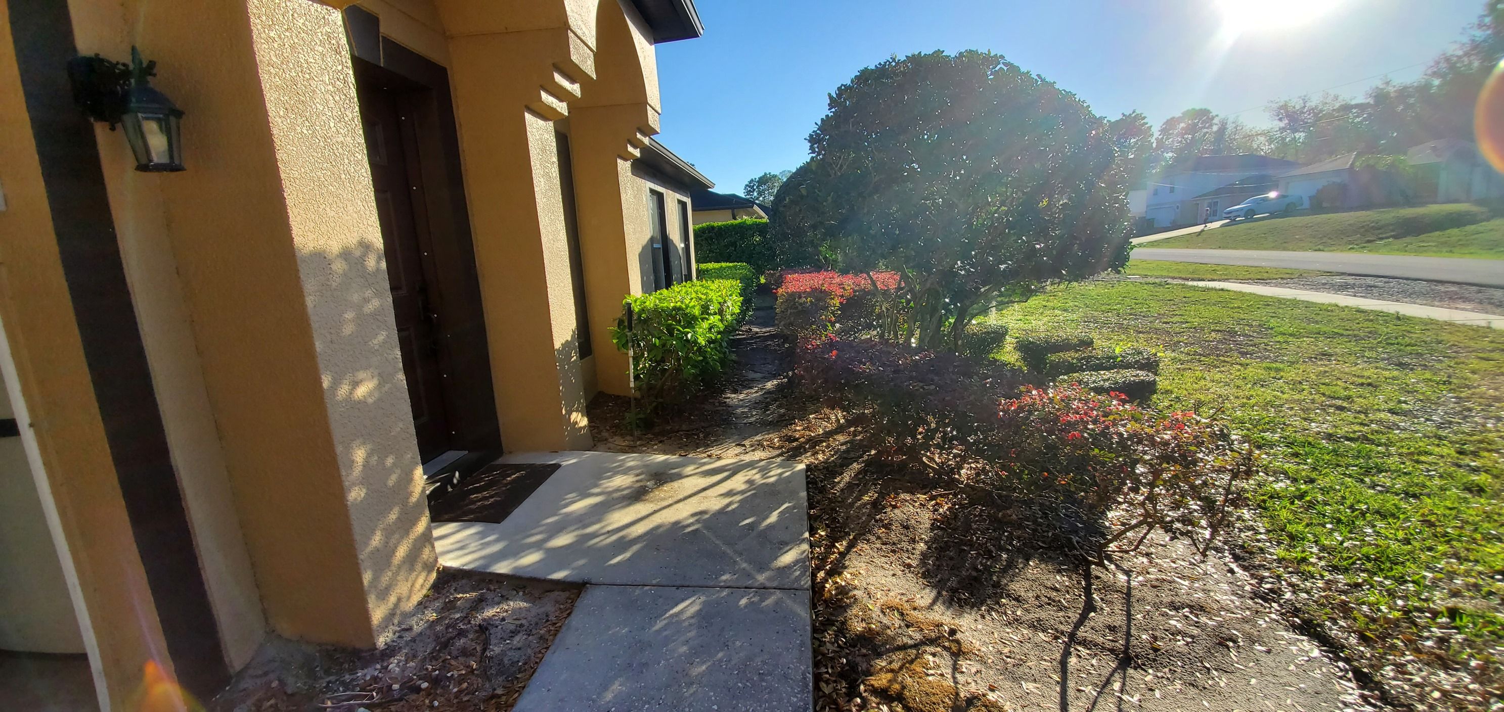 All Photos for Highlife Tree Care And Landscaping in Altamonte Springs, FL
