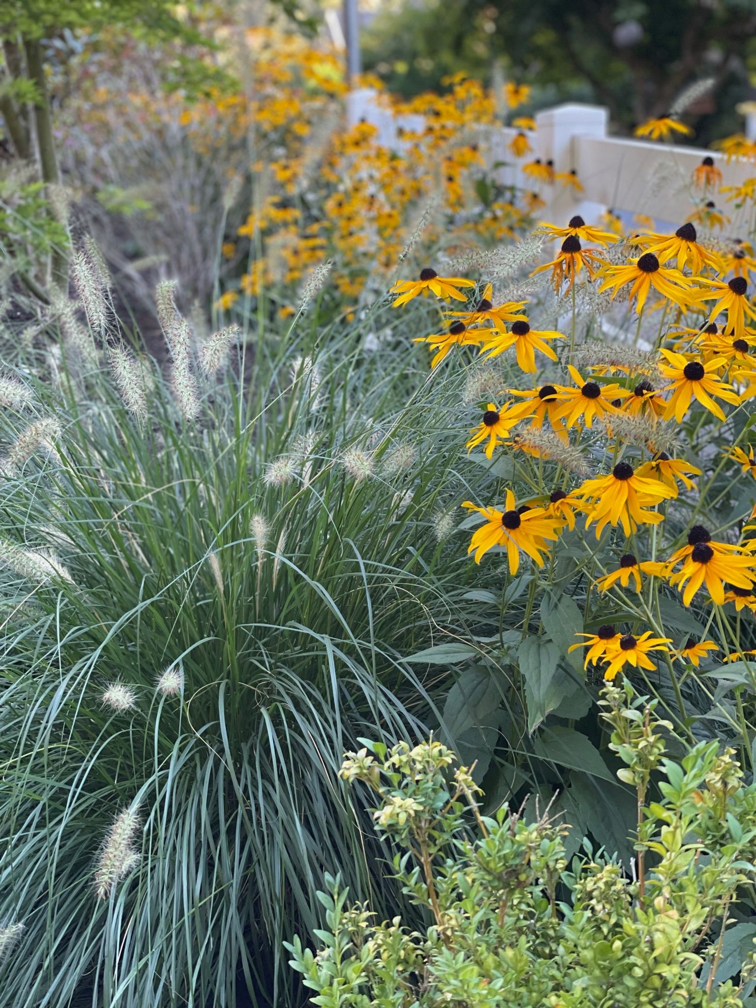  for Courtney Lewis Landscape Design in Portland, OR