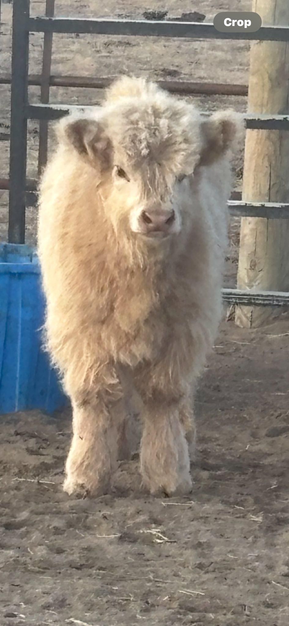  for High Plains Home and Ranch Services in Peyton, CO