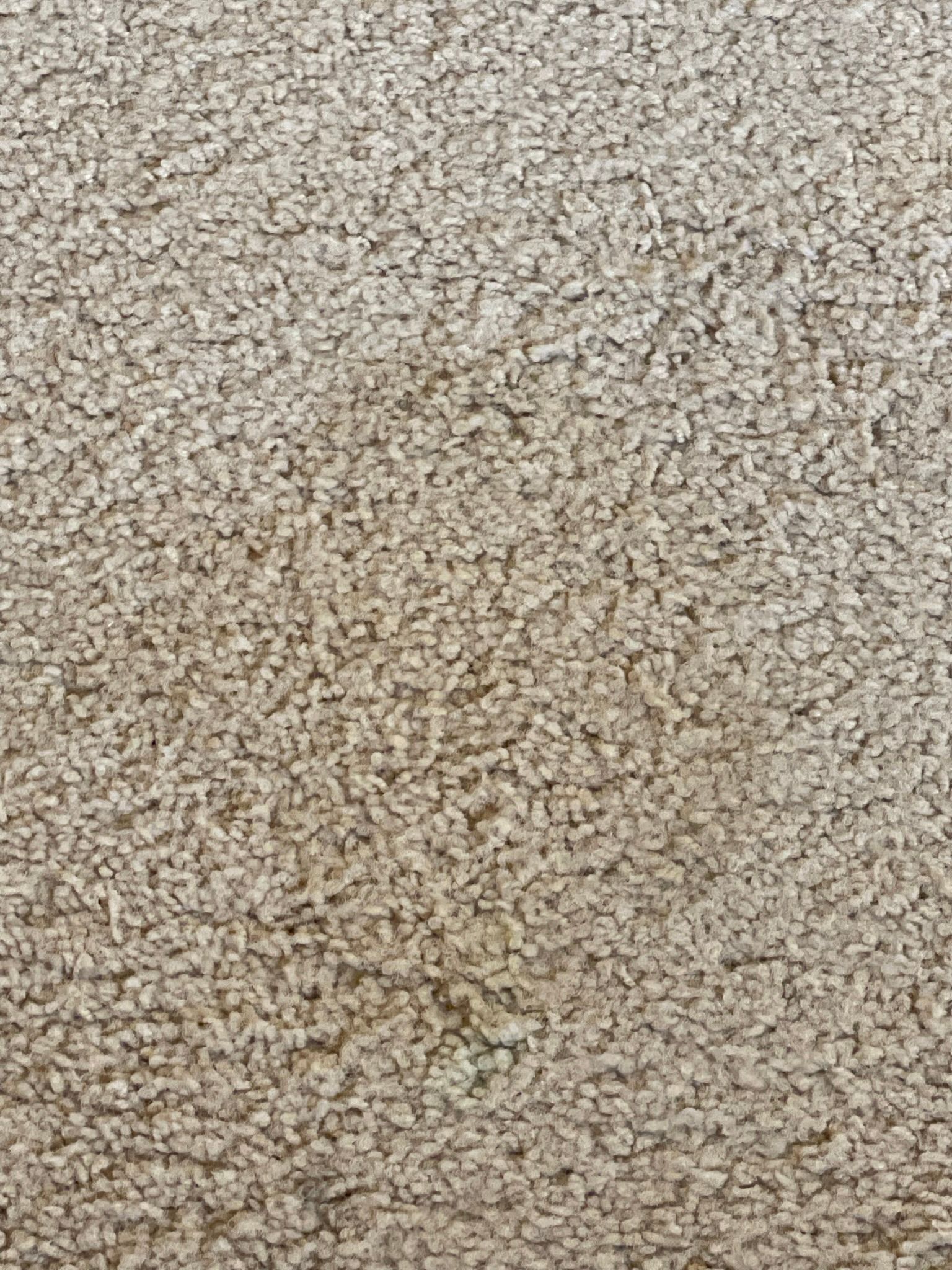  for Tony's Remodeling & Painting in Renton, WA