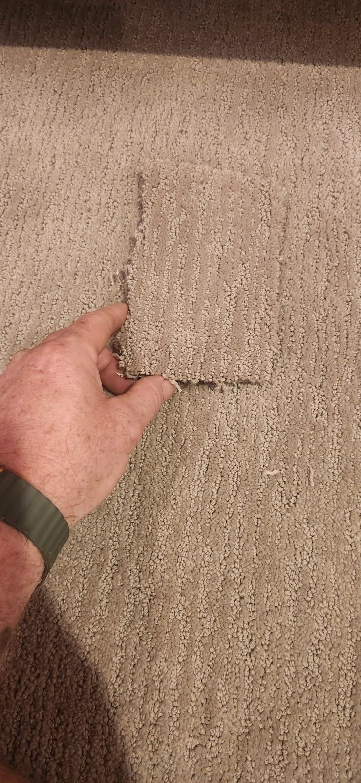  for Cut a Rug Flooring in Lake Orion, MI