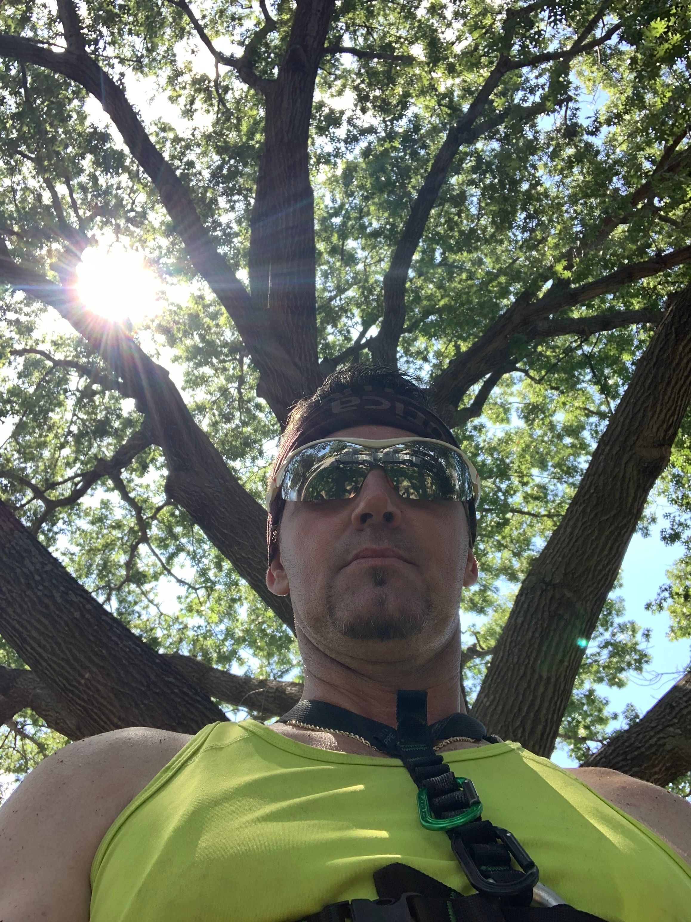  for TLC Professional Tree Service in Bedford, TX