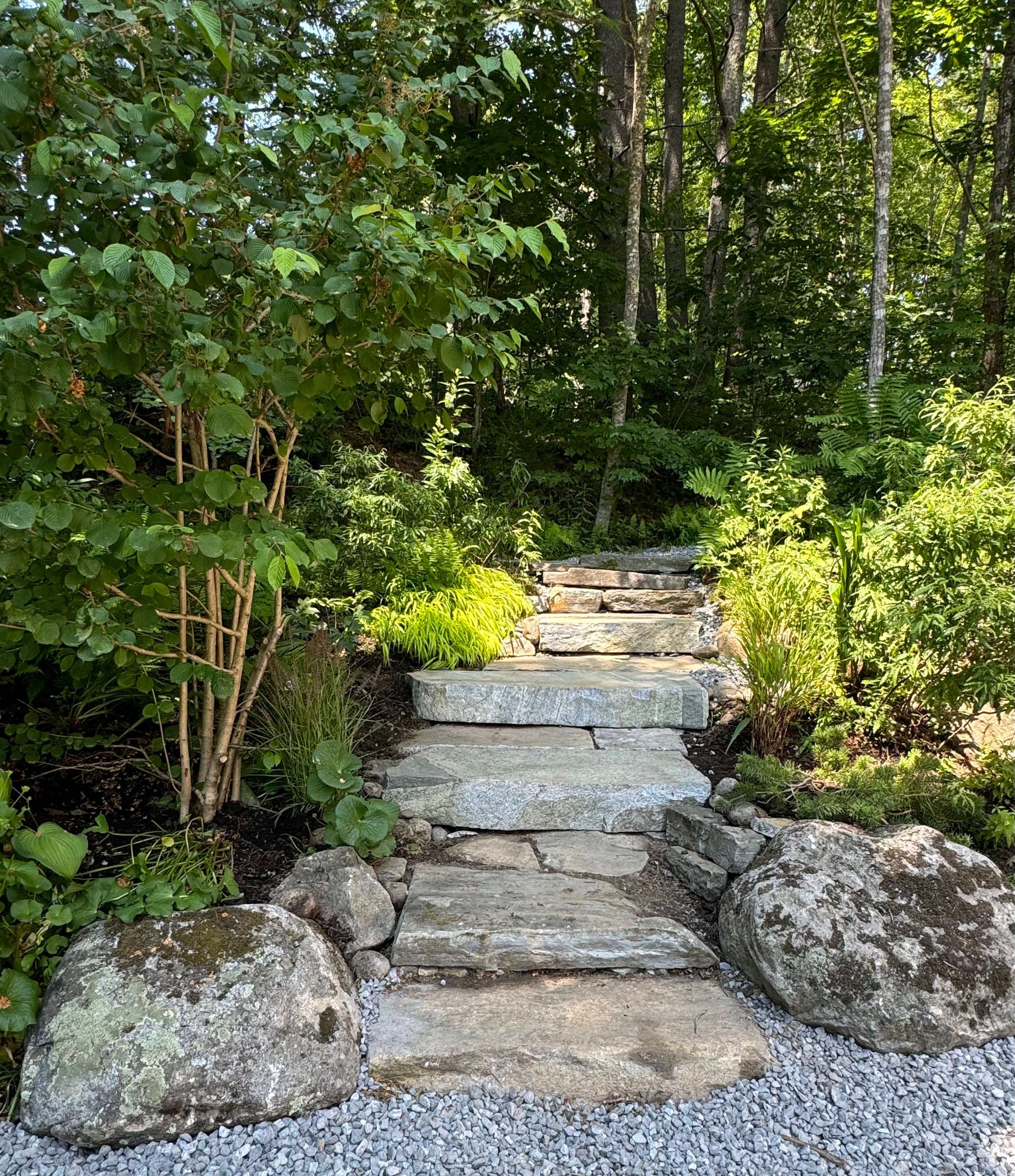  for Natural Roots in Georgetown, ME