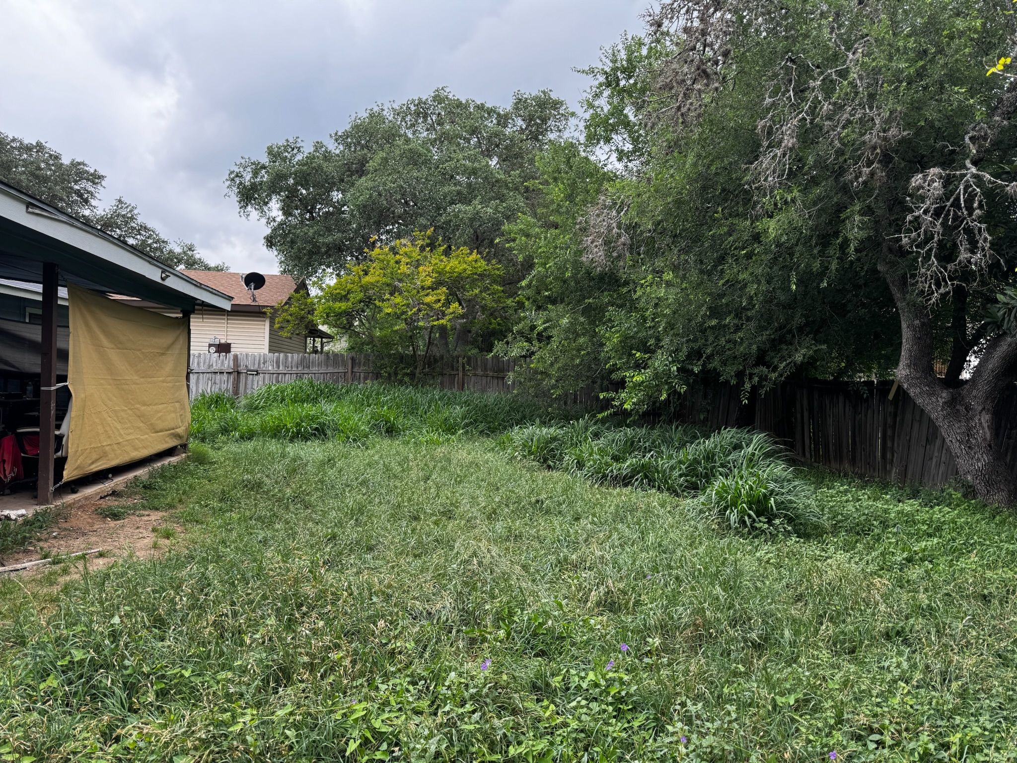 Lawn & Landscaping for Exellent lawn services in San Antonio, TX