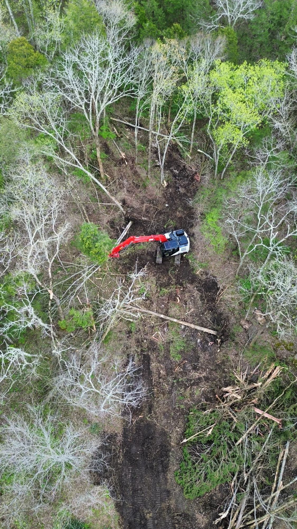  for High Country Wildlife & Land Management in Columbia, TN