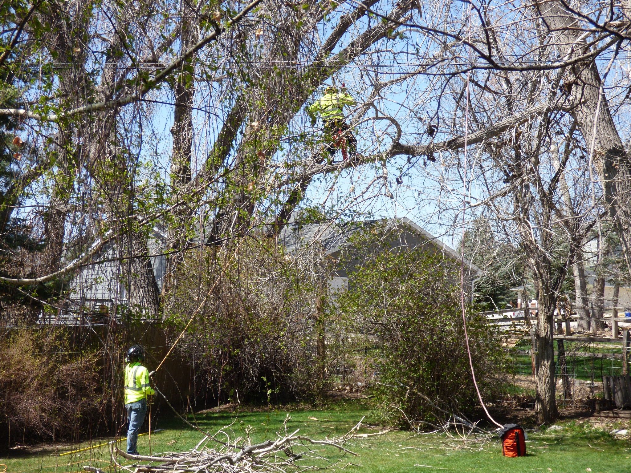  for Two Fellers Tree Service in Buffalo, WY