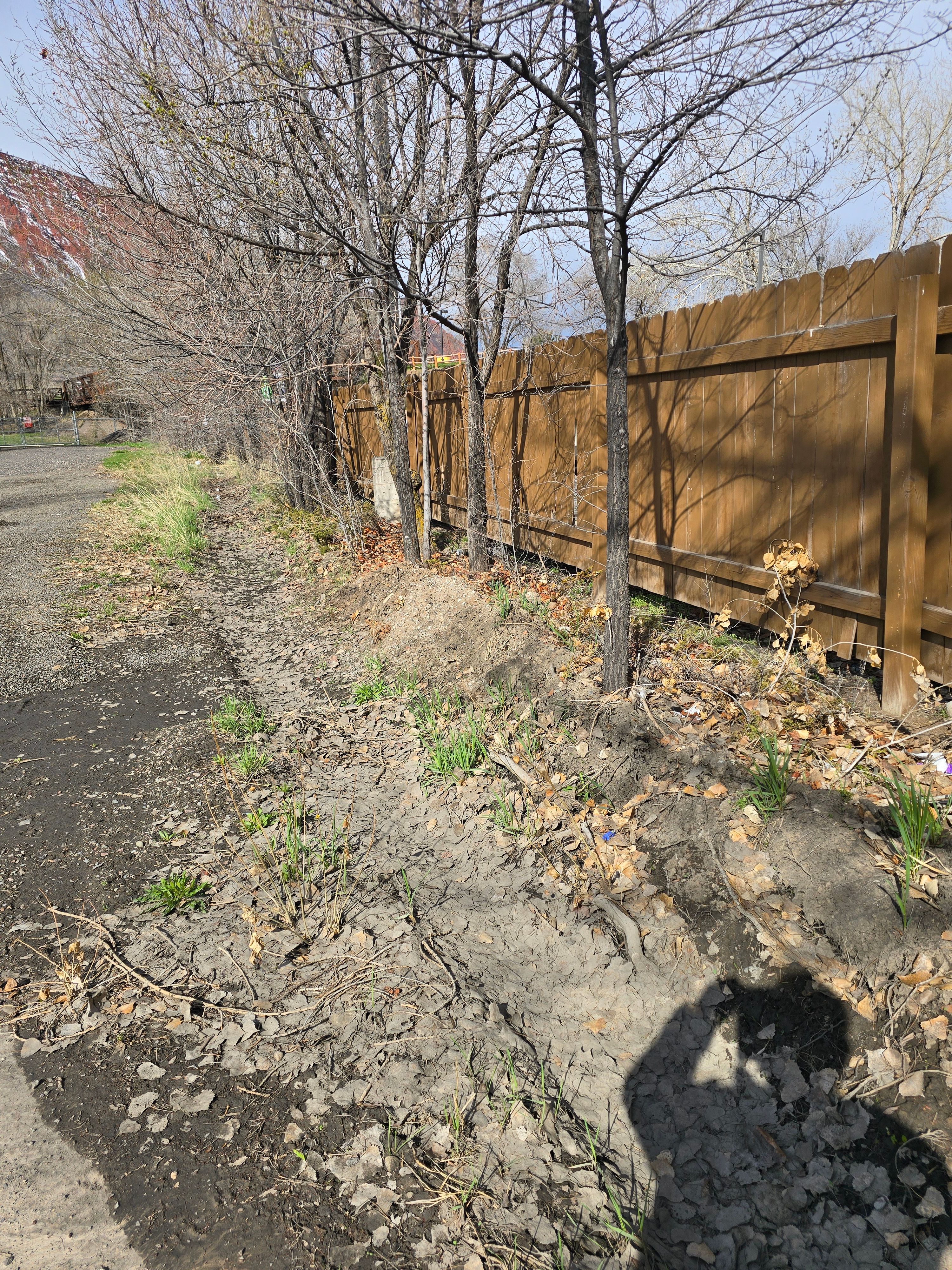 All Photos for LRS: Landscape, Rescue, Snow in Silt, CO