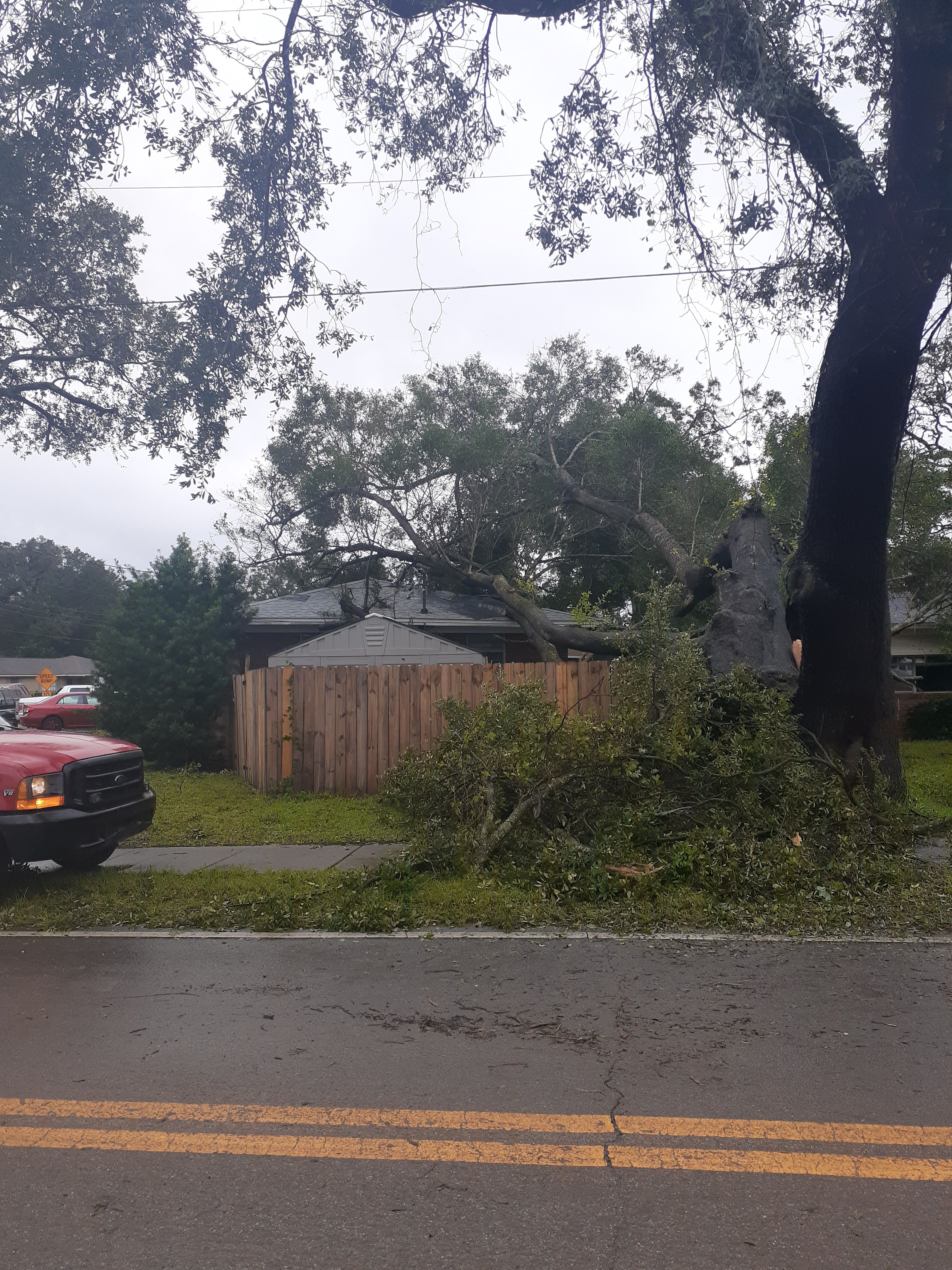  for Professional Tree Service USA in Chattanooga, TN