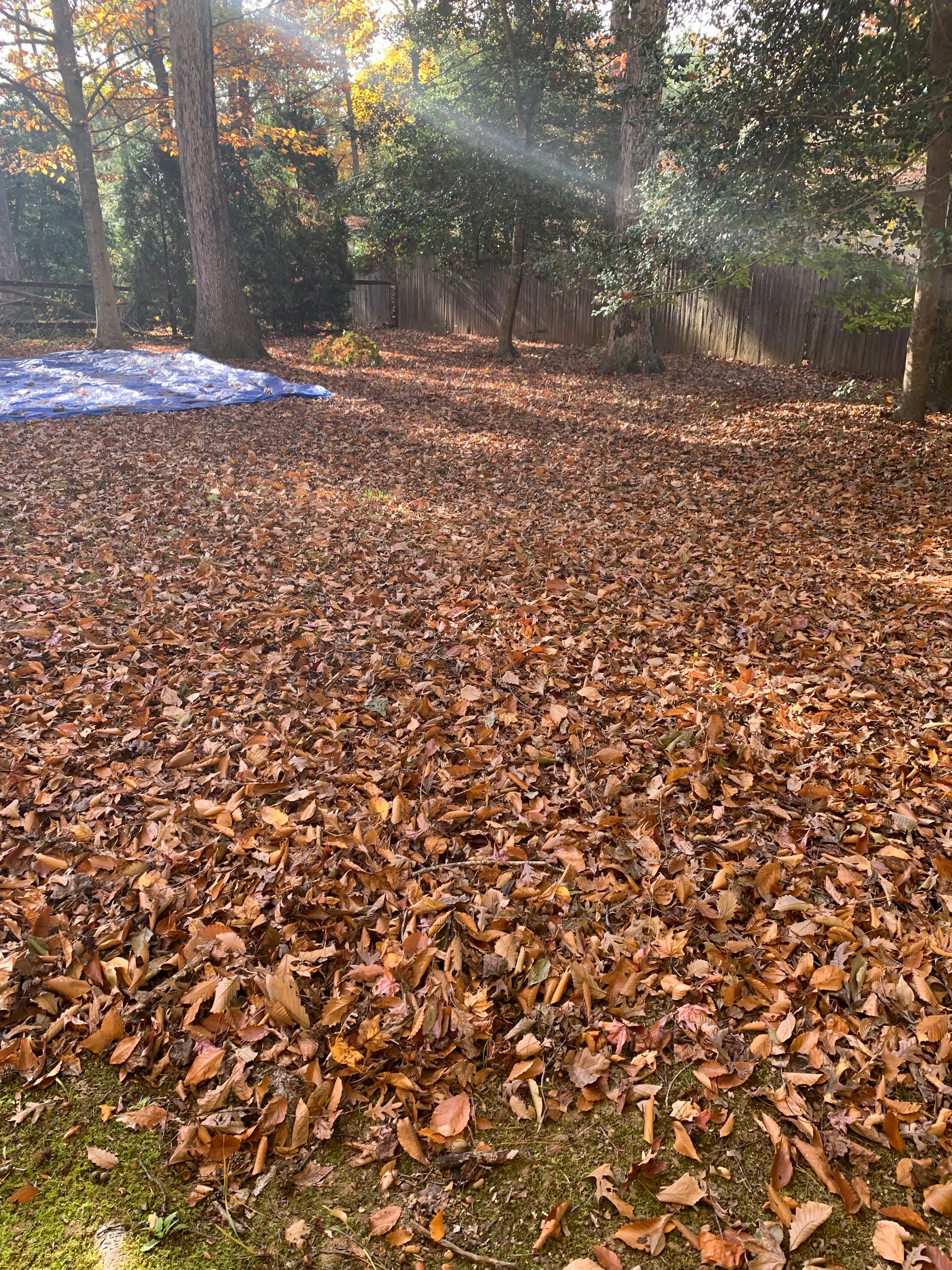  for Atlas Home Services in Mechanicsville, VA