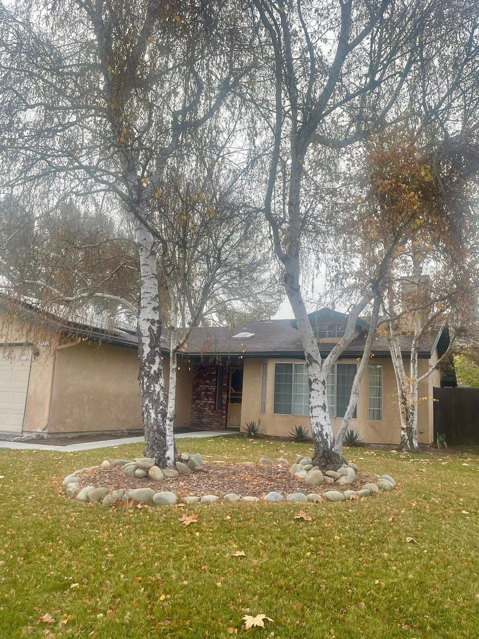  for A1 Junk & Tree Solutions, LLC in Paso Robles, CA