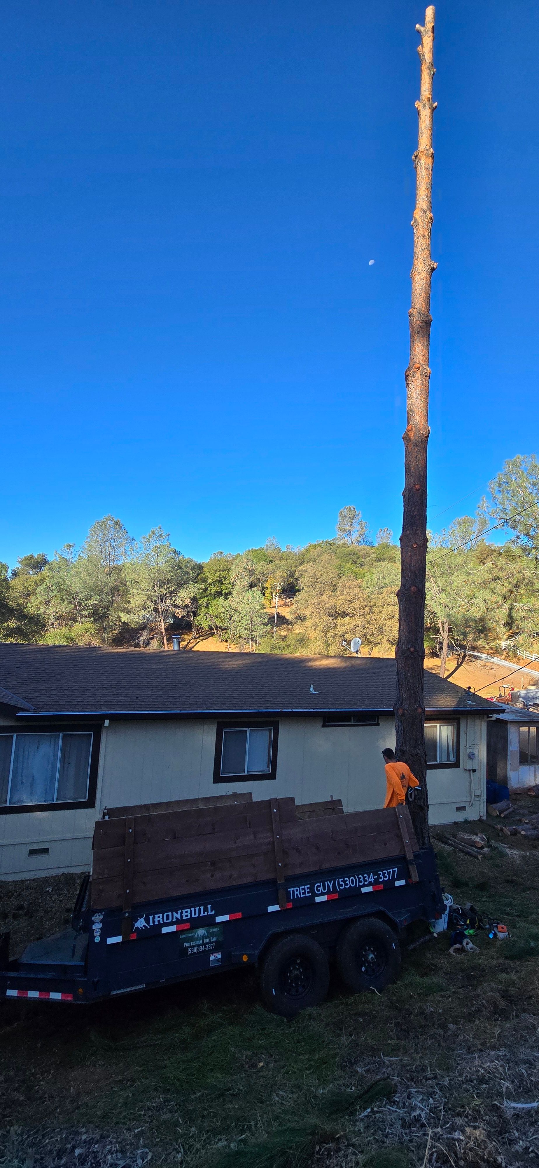  for George Staddan's Professional Tree Care in Placerville, CA