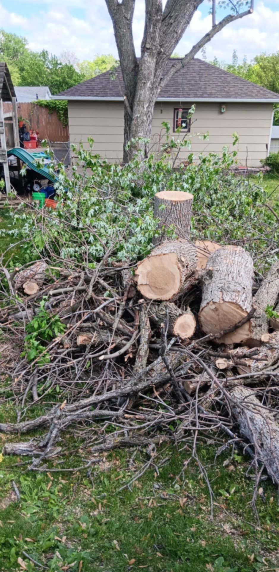  for Lawn Ranger Yard And Tree Service in Ottumwa, IA