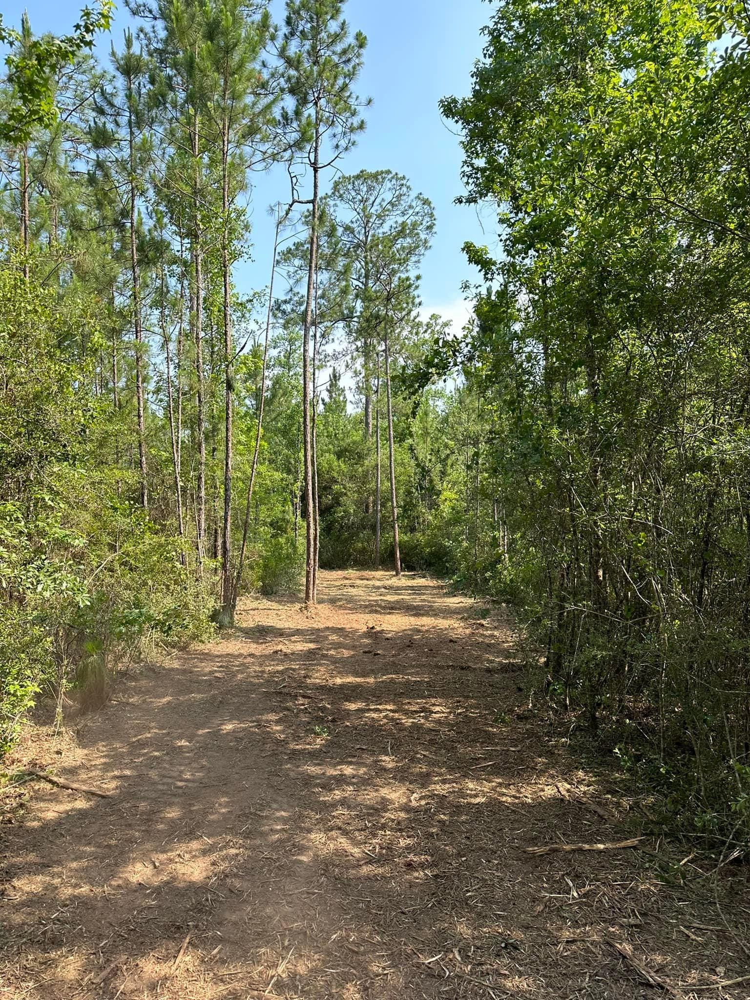  for White’s Land Maintenance in Milton,, FL