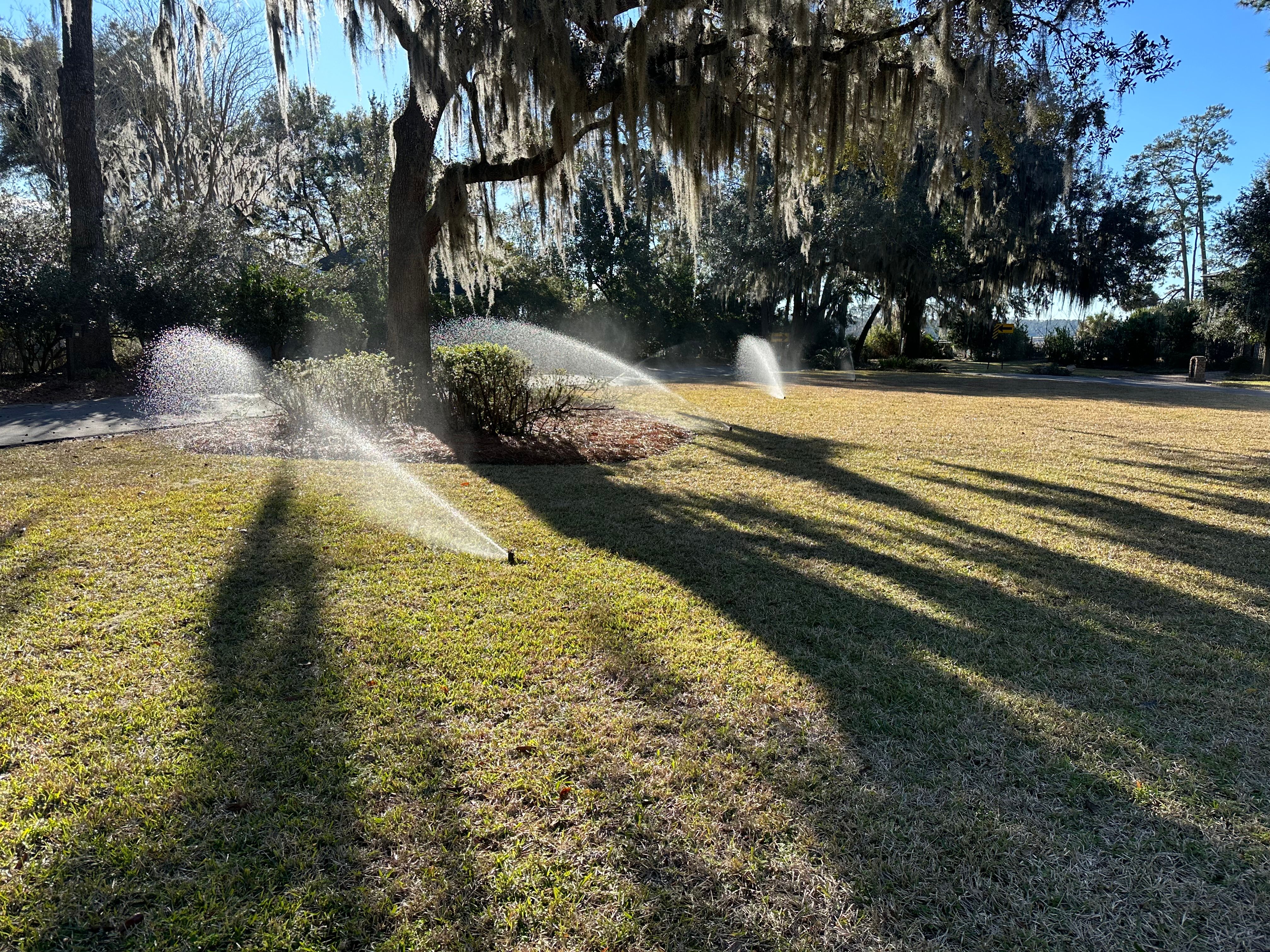  for Coastalscapes Landscaping & Turf Management  in Savannah, GA