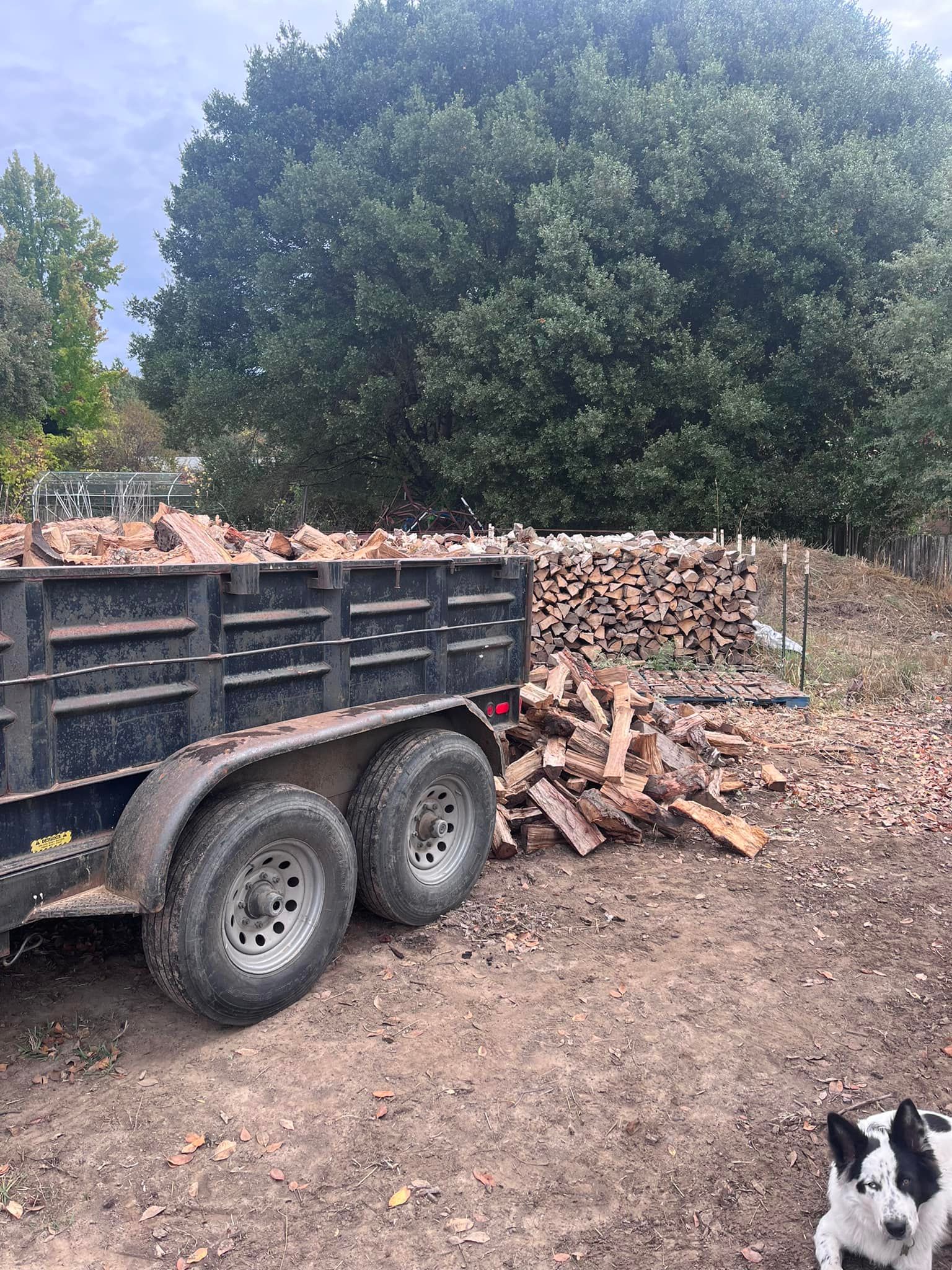  for J. Orozco & Sons Ent in Philo, CA