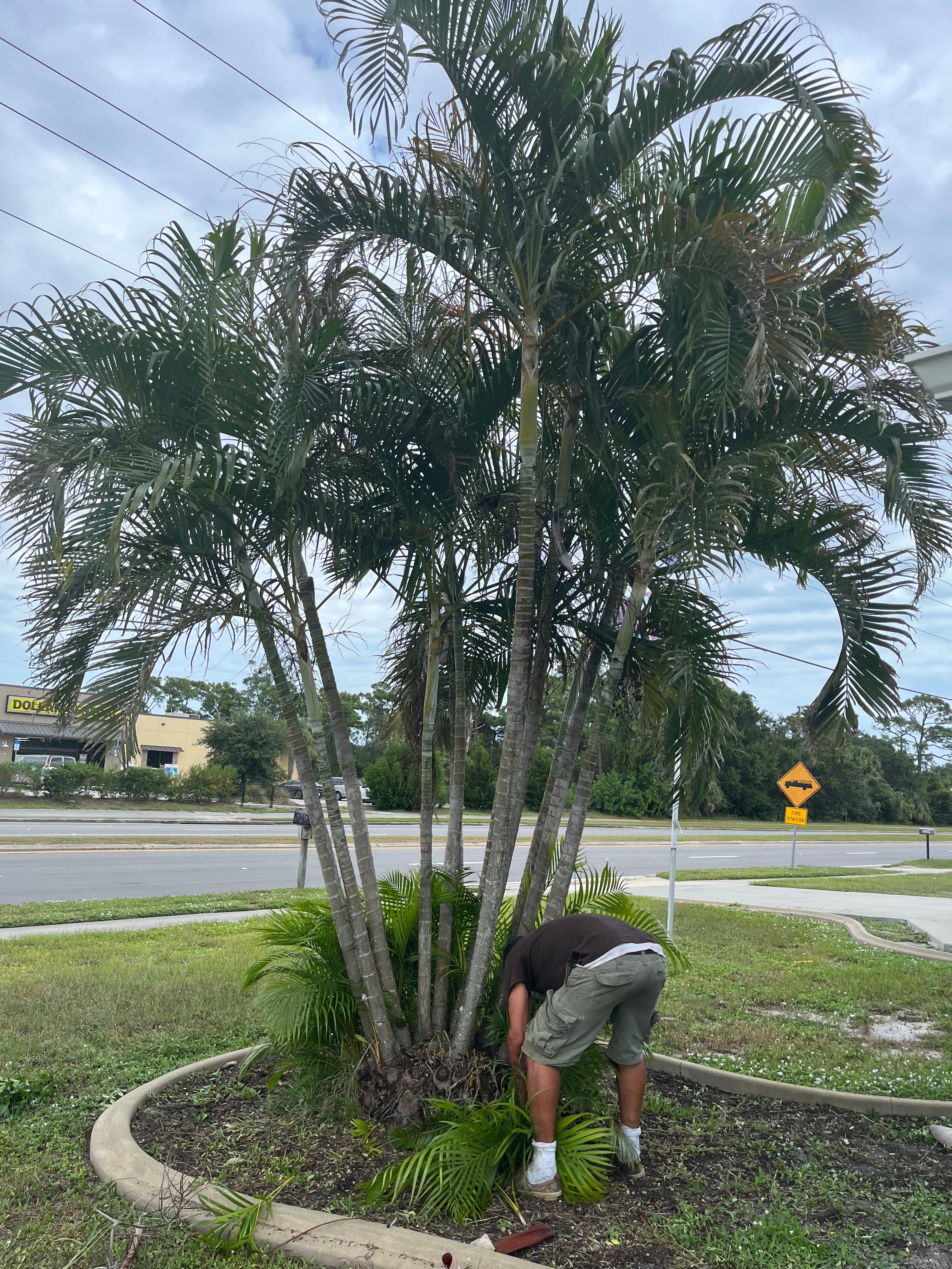  for Space Coast Property Maintenance and Management LLC in Melbourne, FL