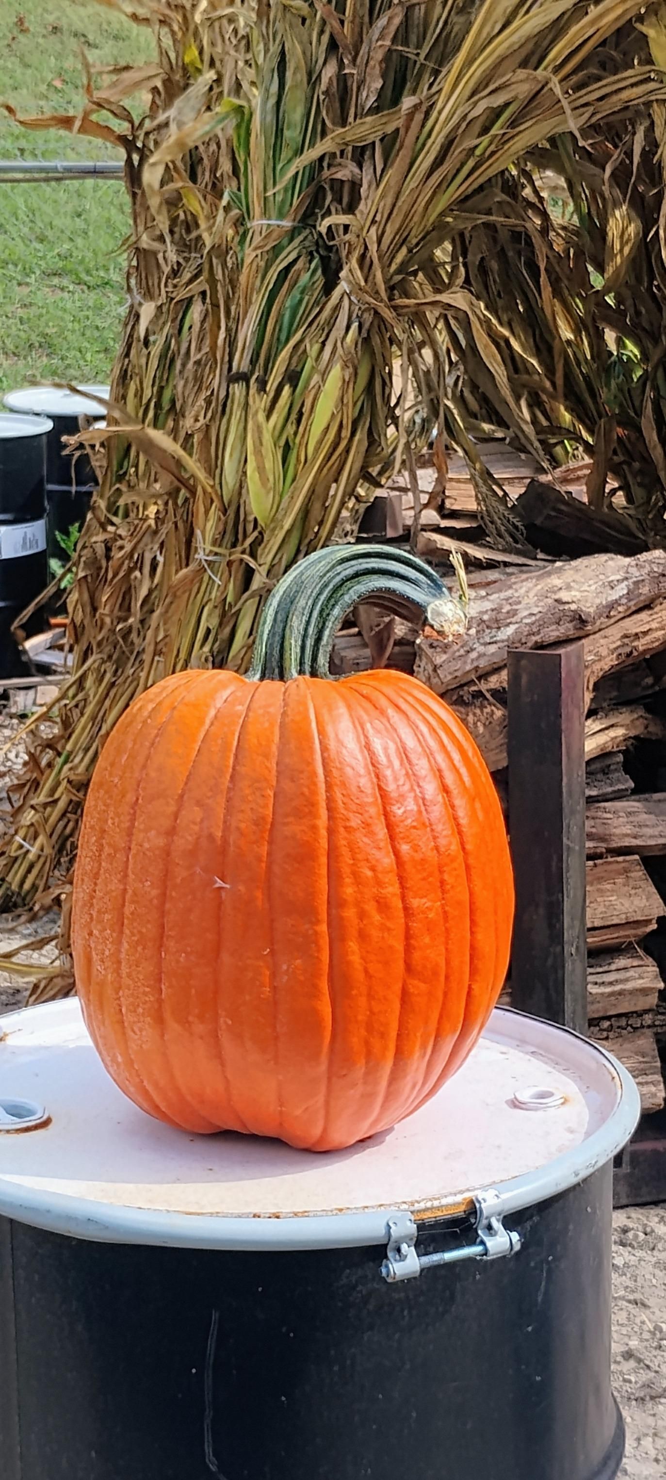  for Rutledge Contracting LLC in Hazel Green, AL