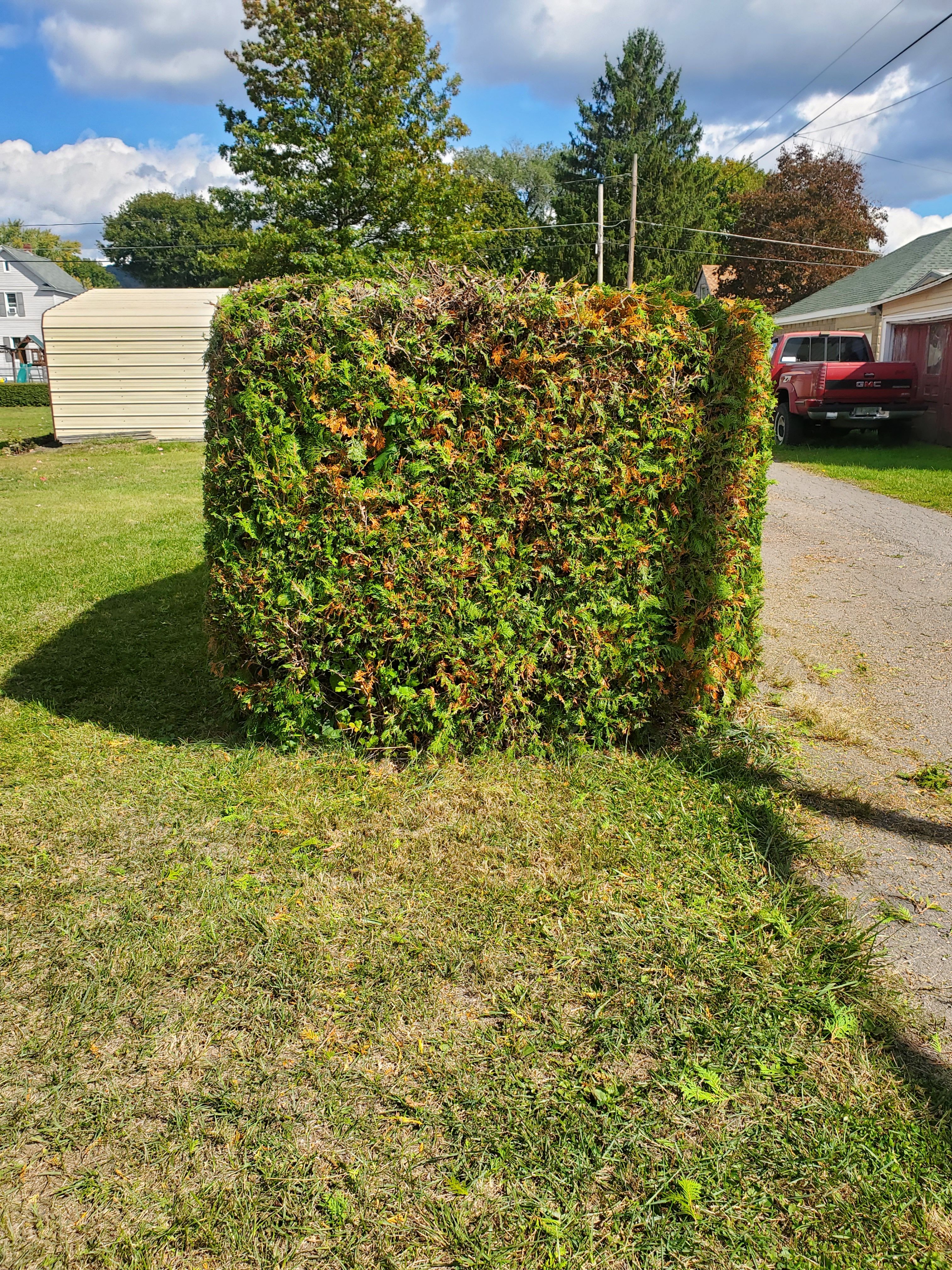  for Down Home Landscaping in Stillwater, PA