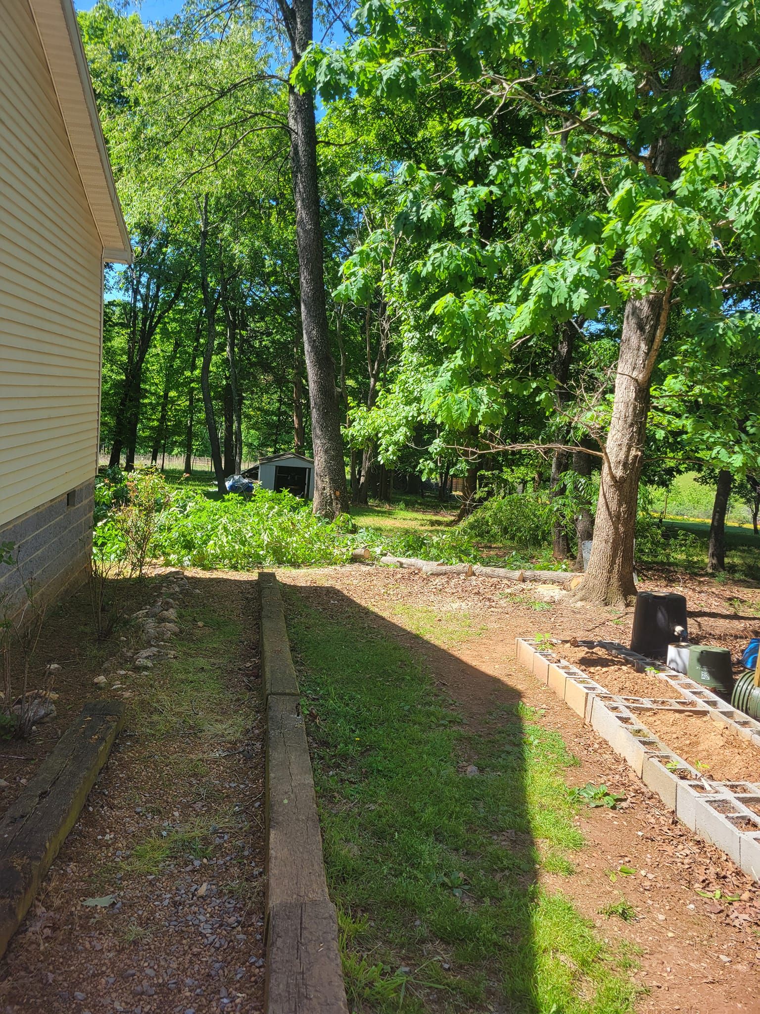  for Red Roosters Tree Services in Bedford, VA