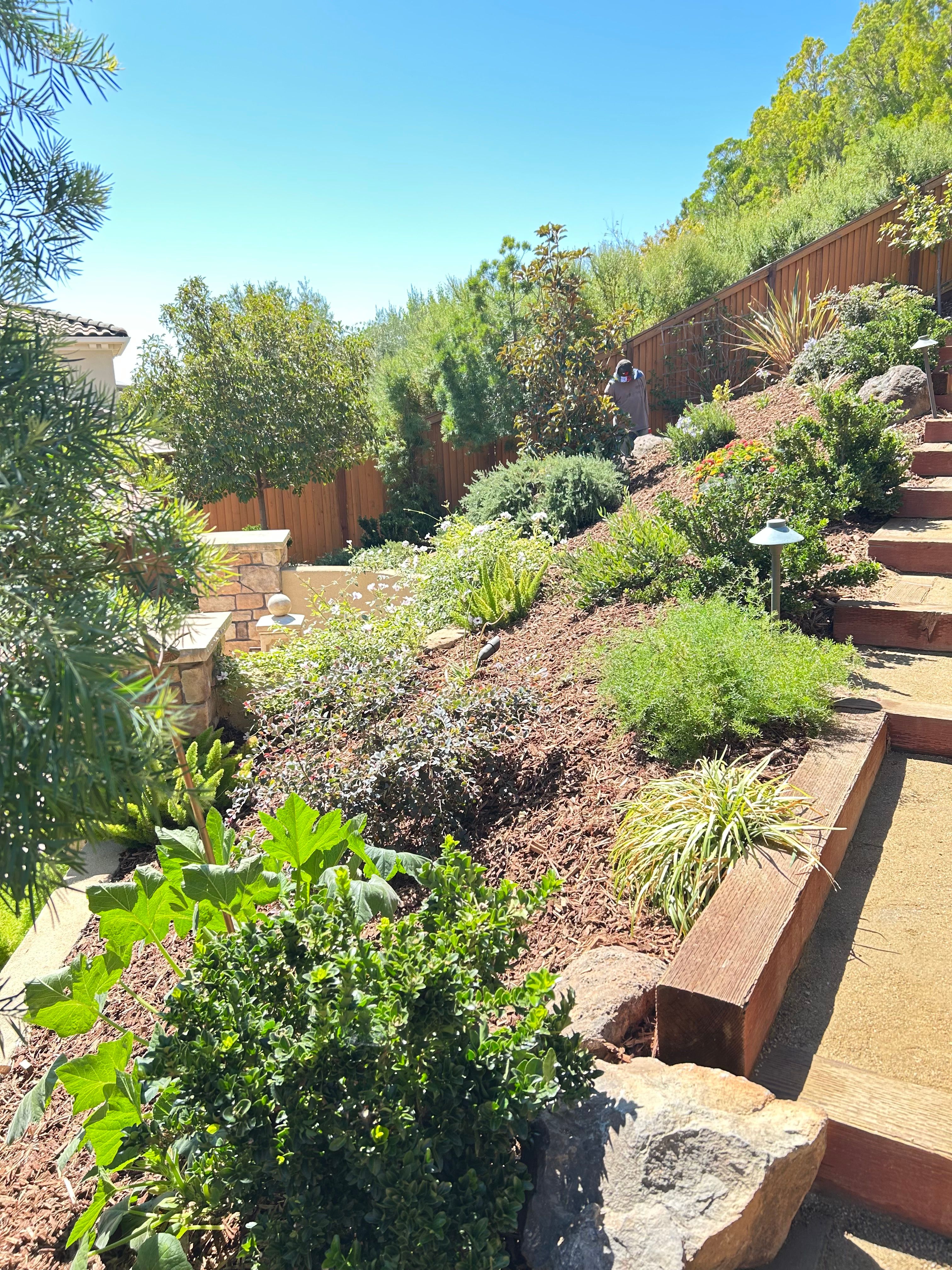 All Photos for LEBEC, Inc in Brentwood, CA