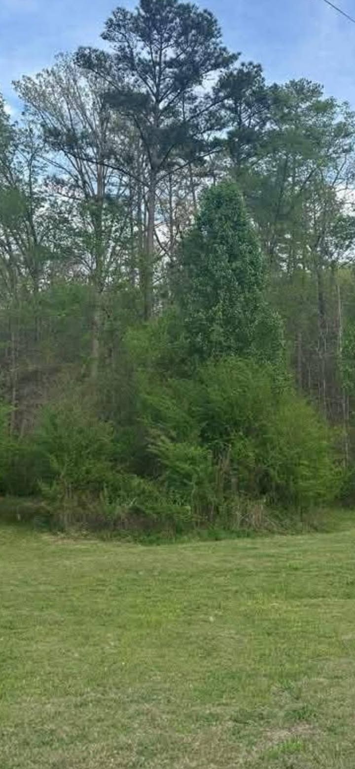  for Big C Land Management in Anniston, AL