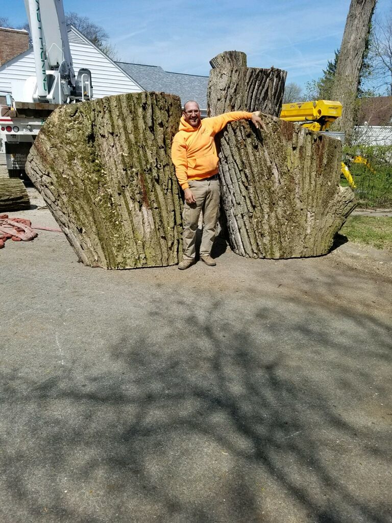  for Advanced Tree Solutions in Rockville, IN