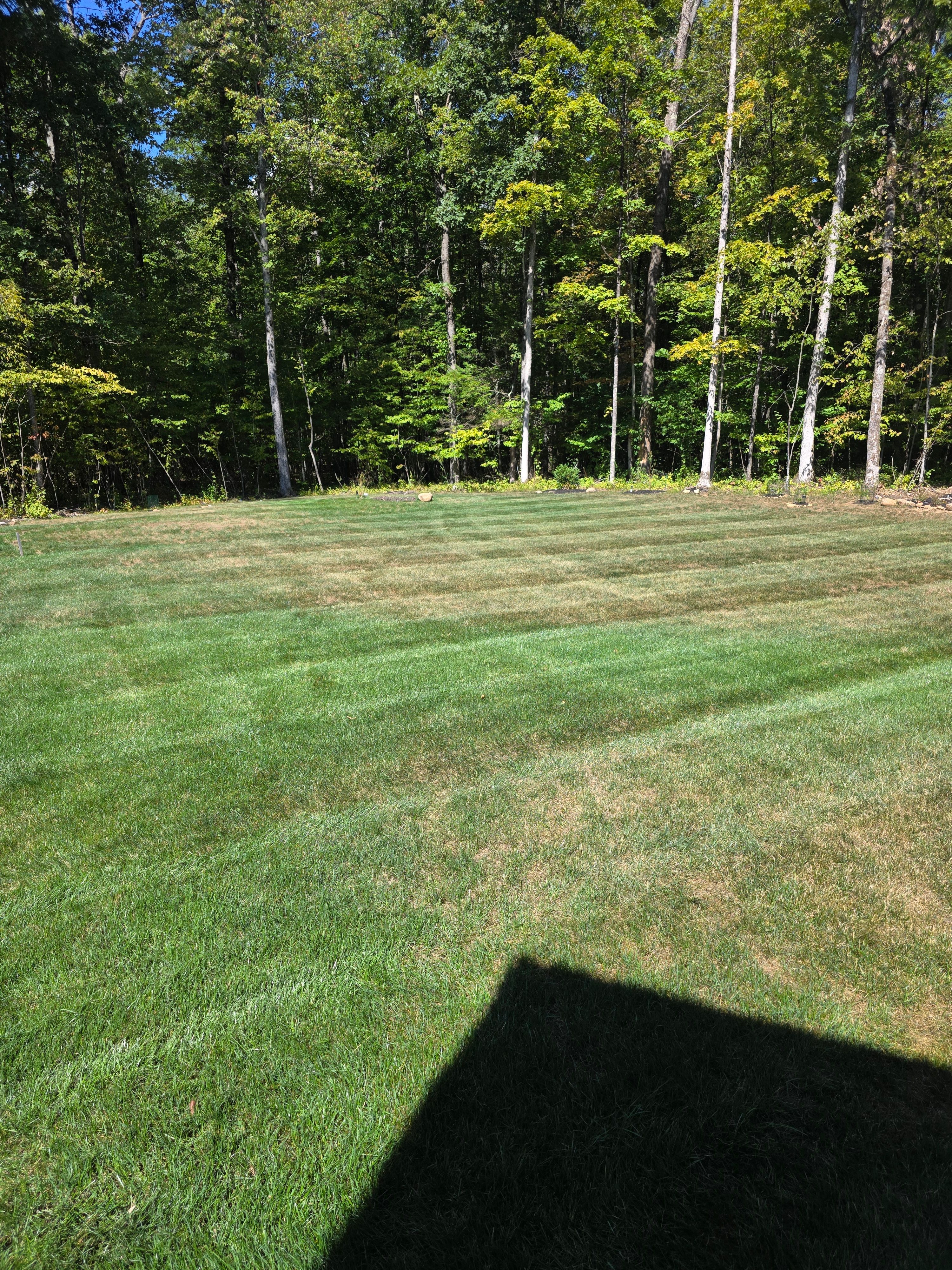  for Sweet Scapes in Ballston Spa, NY