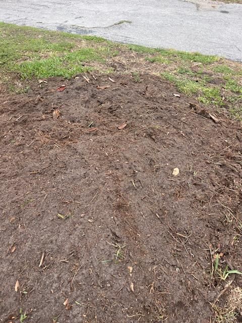  for KB’s Stump Removal in Pinellas county, FL