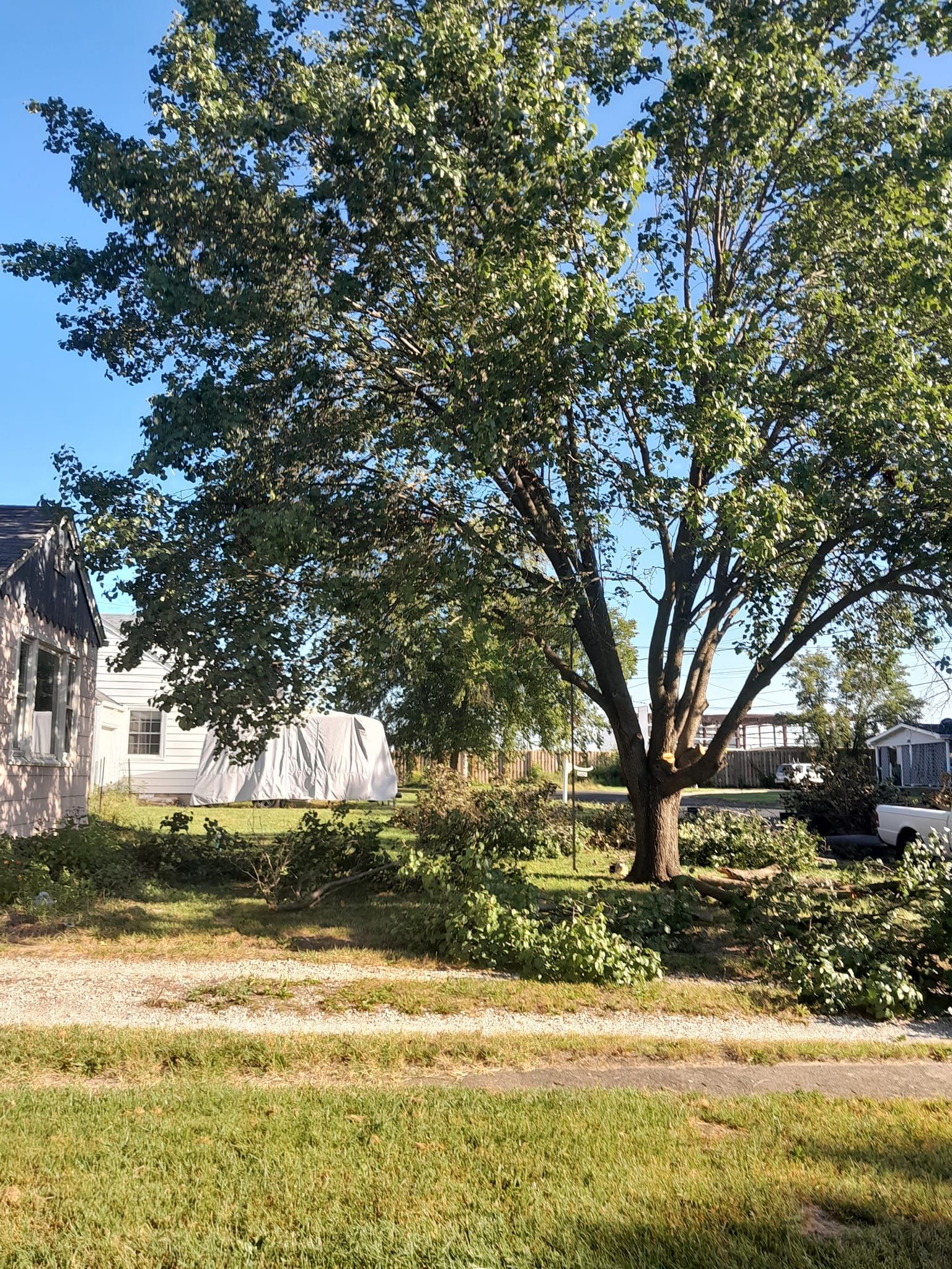  for Sky High Tree Service in Columbia, MO