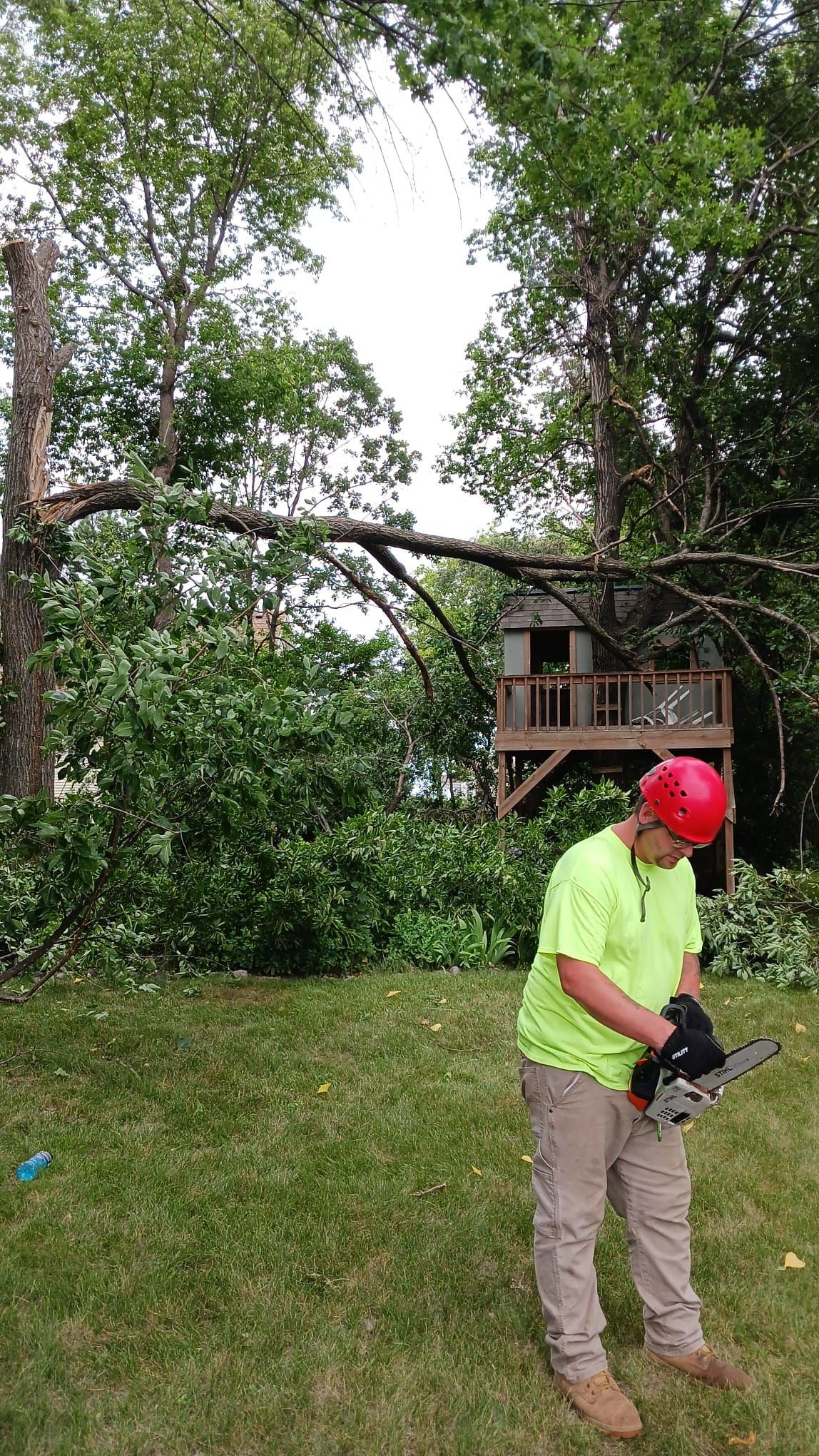 Tree Removal for Buffalo Family Tree Care in Buffalo, MN