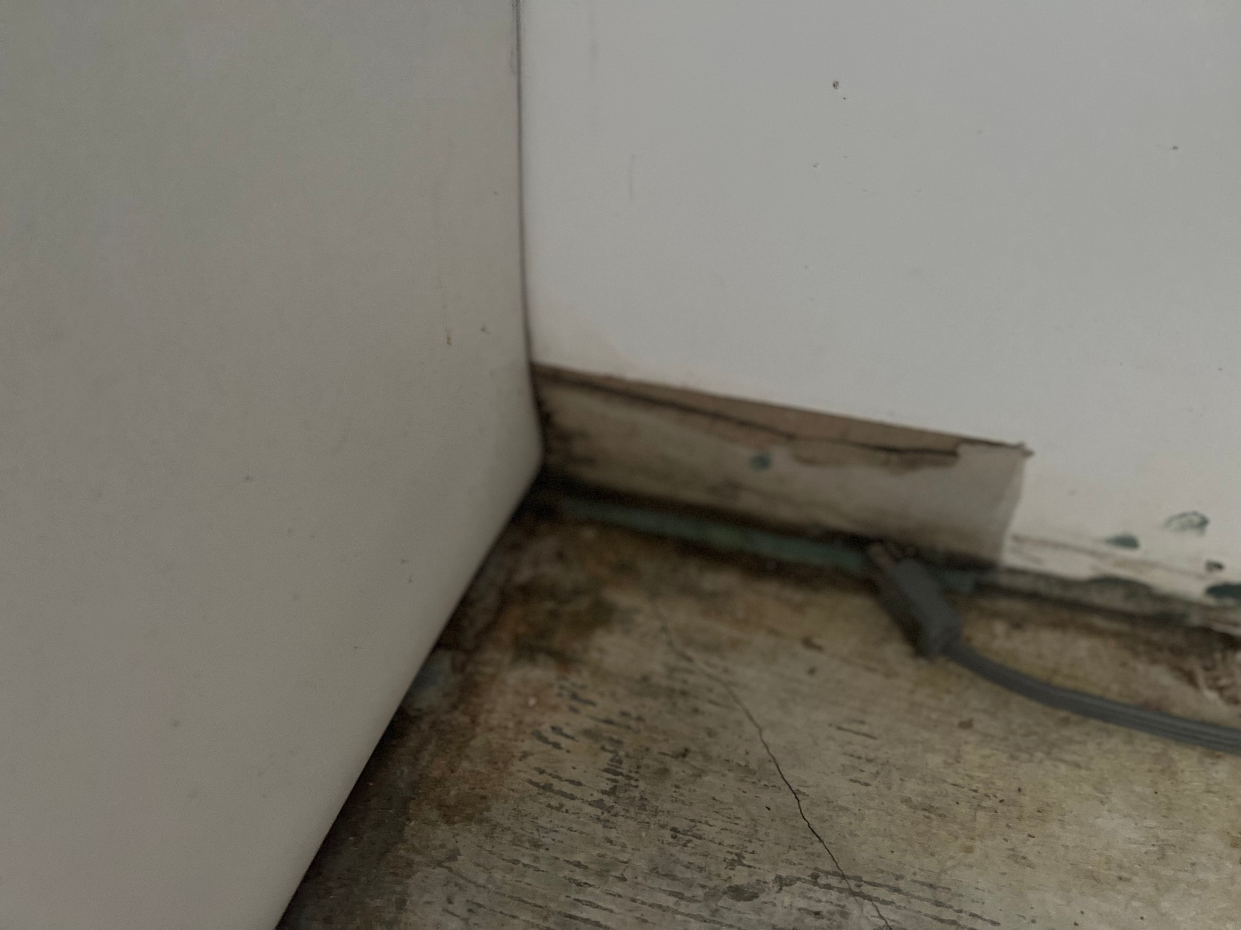  for N&D Restoration Services When Disaster Strikes, We Come In in Cape Coral,  FL