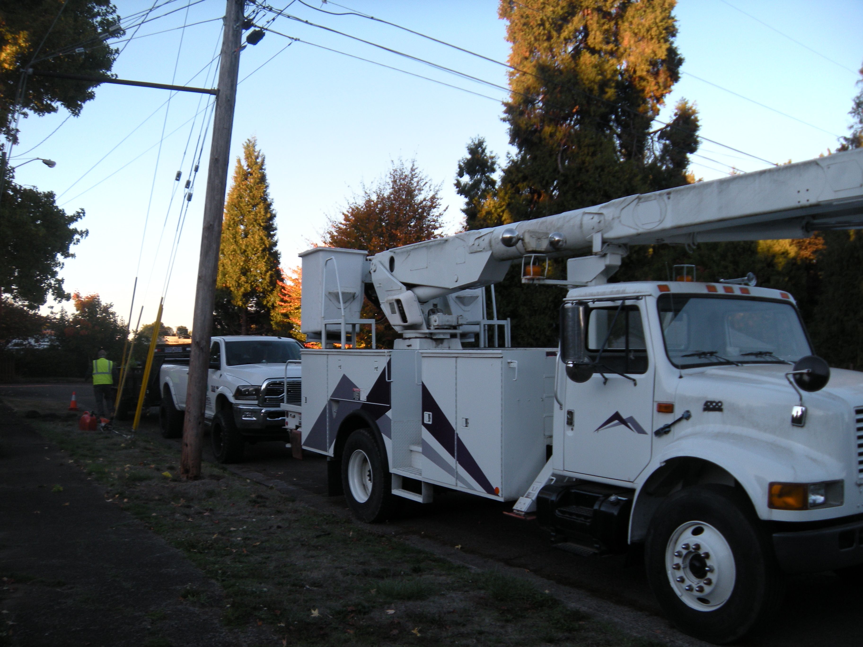  for Willamette Landscaping and Tree Services in Albany, OR