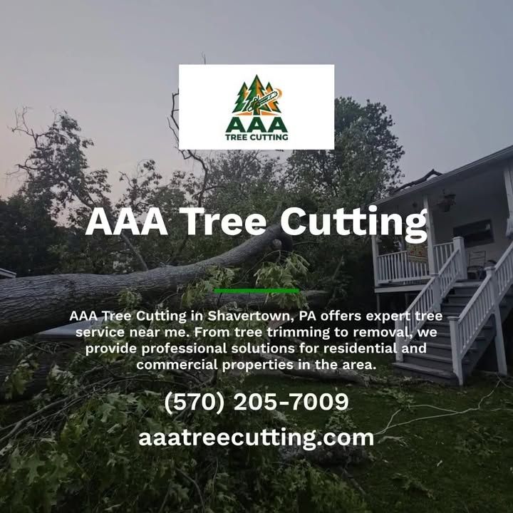  for AAA Tree Cutting in Shavertown, PA