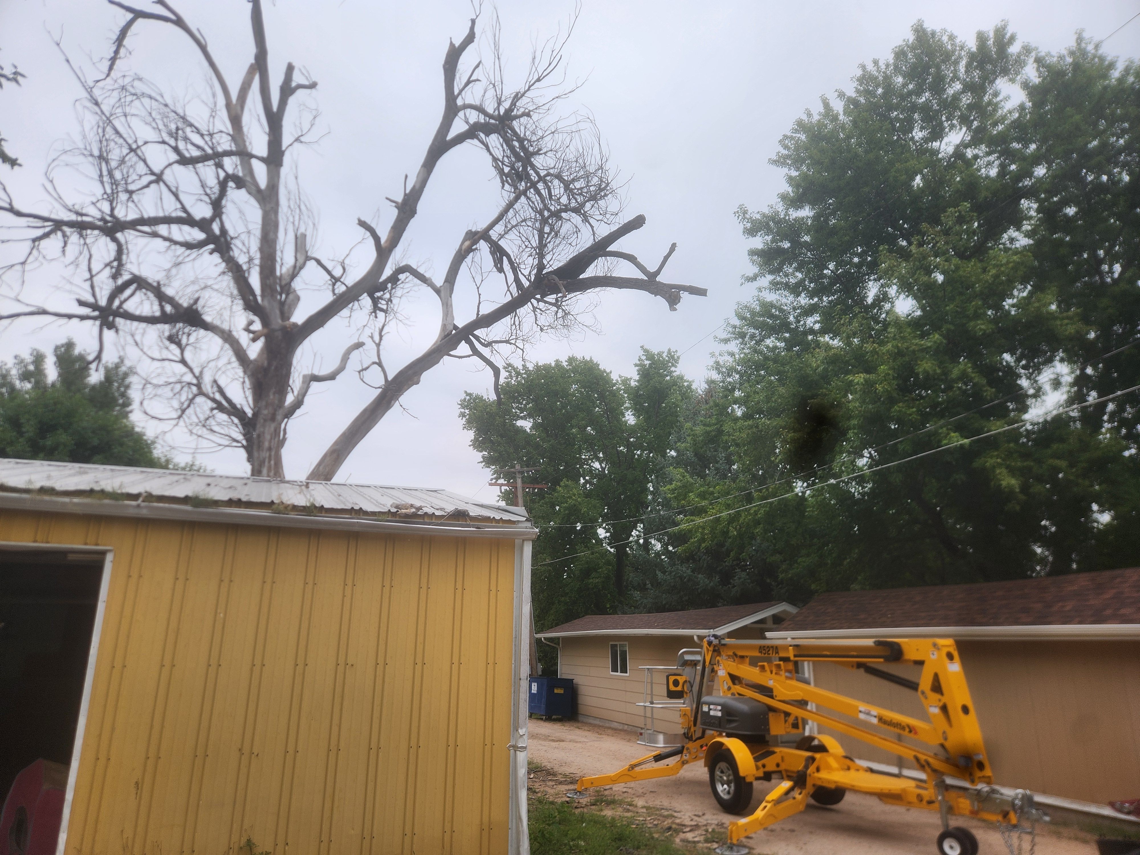 Brush & Tree Removal for M&N Fencing in Crook, CO