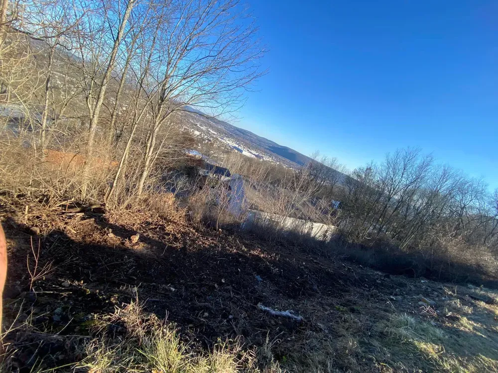 All Photos for Licensed to Cut Tree Service in Athens, PA