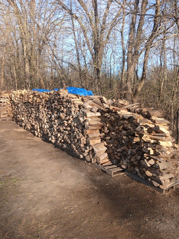  for Rockford Tree Specialist in Rockford, MN