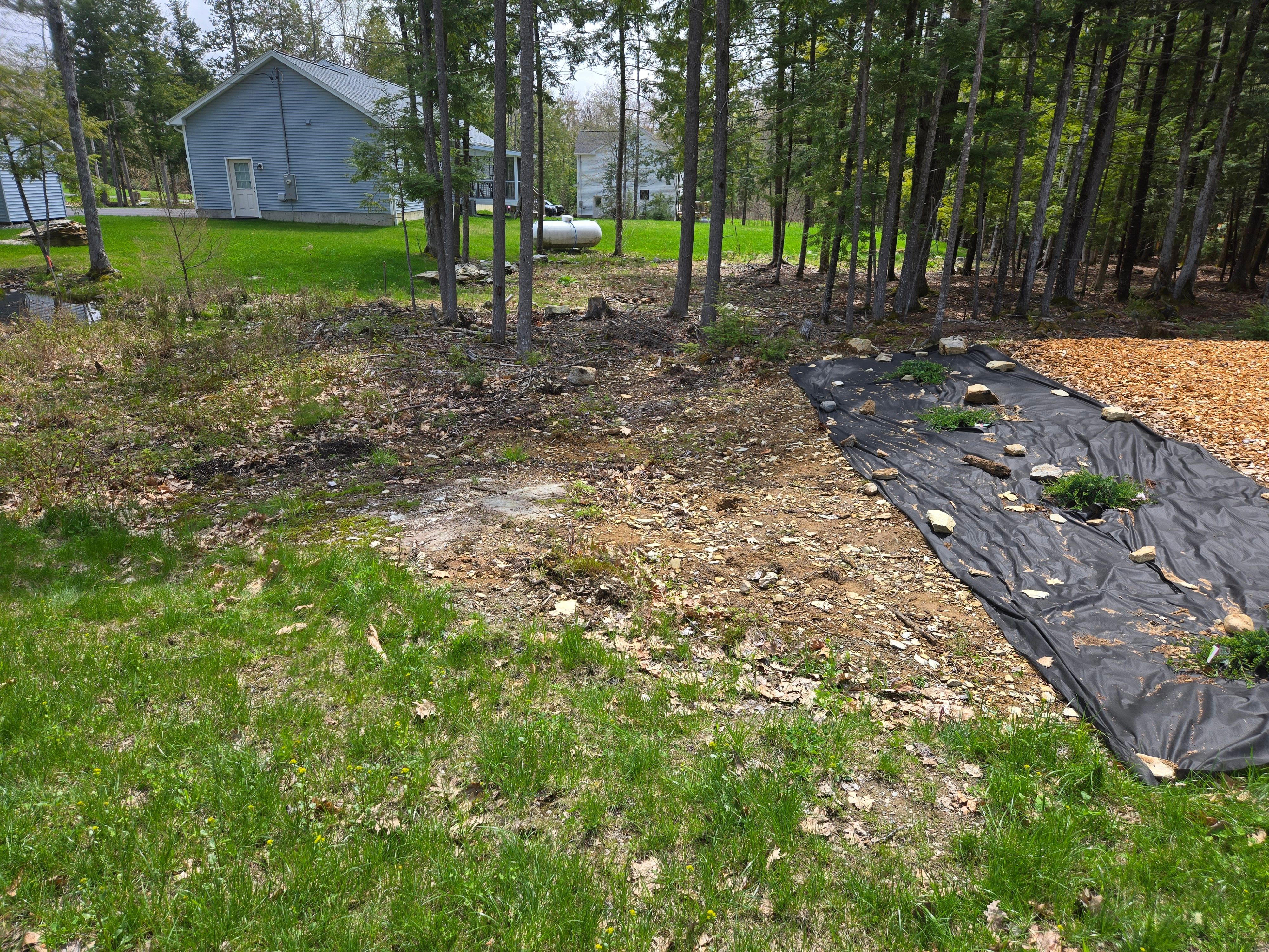All Photos for Casey's Lawn Service LLC in Orono, ME